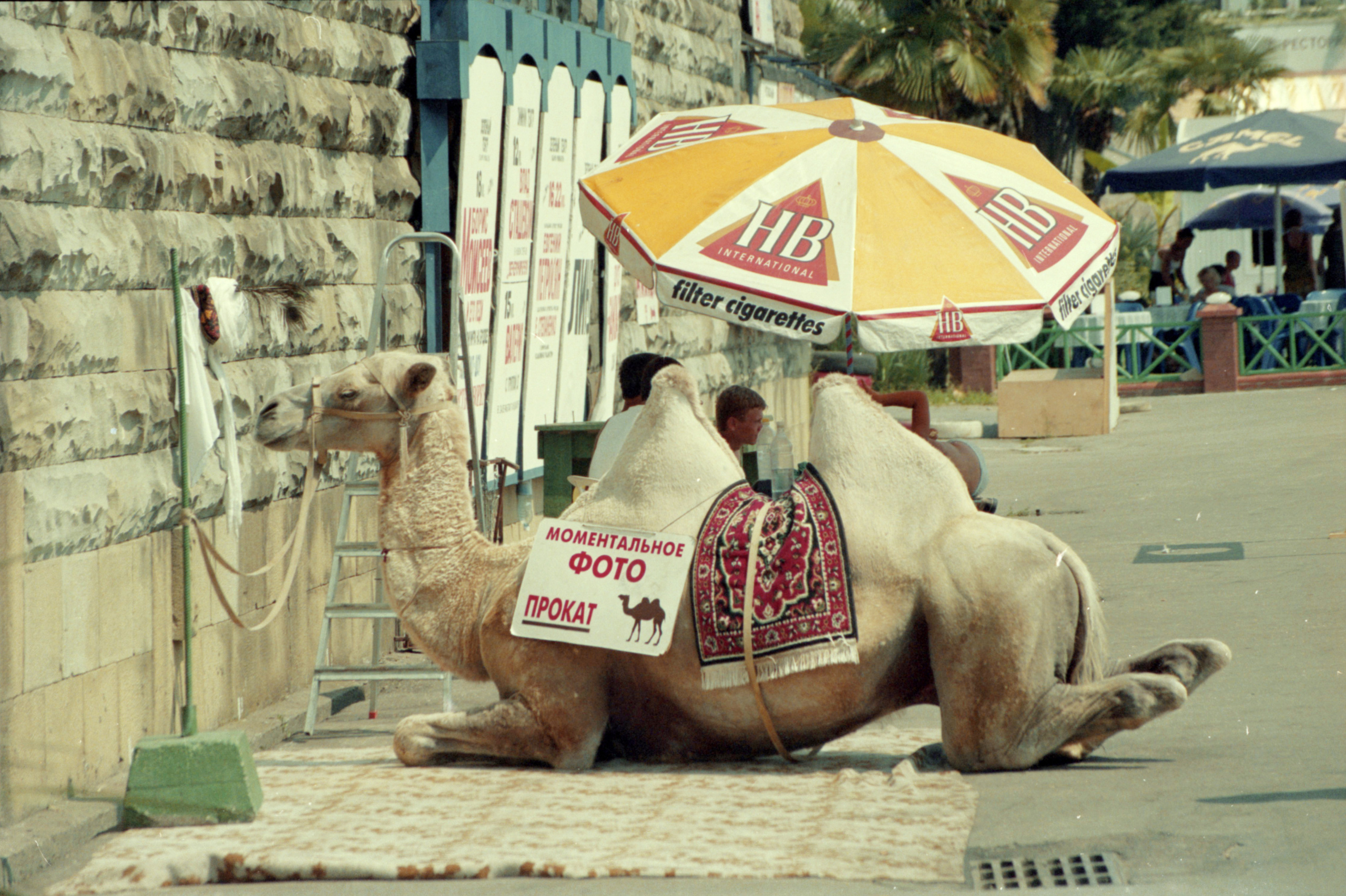 Виктор Клюшкин