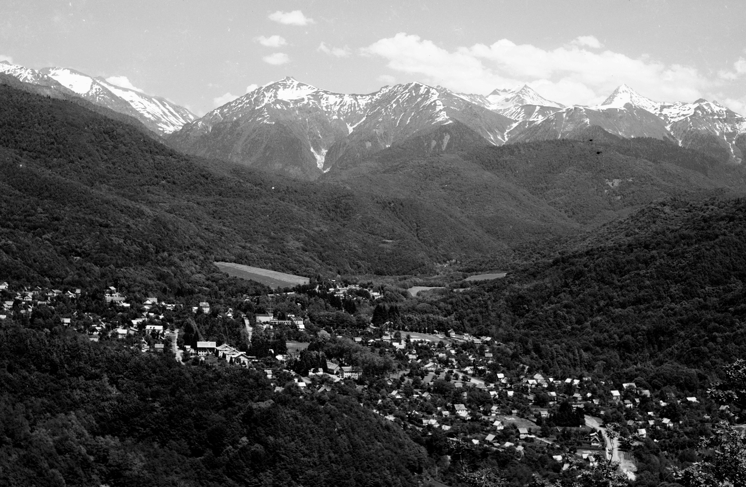 Геннадий Кук. Курортное дело