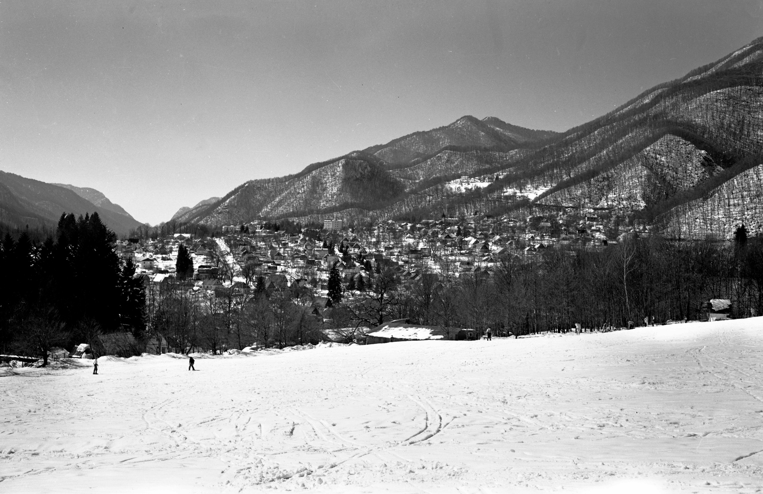 Геннадий Кук. Курортное дело