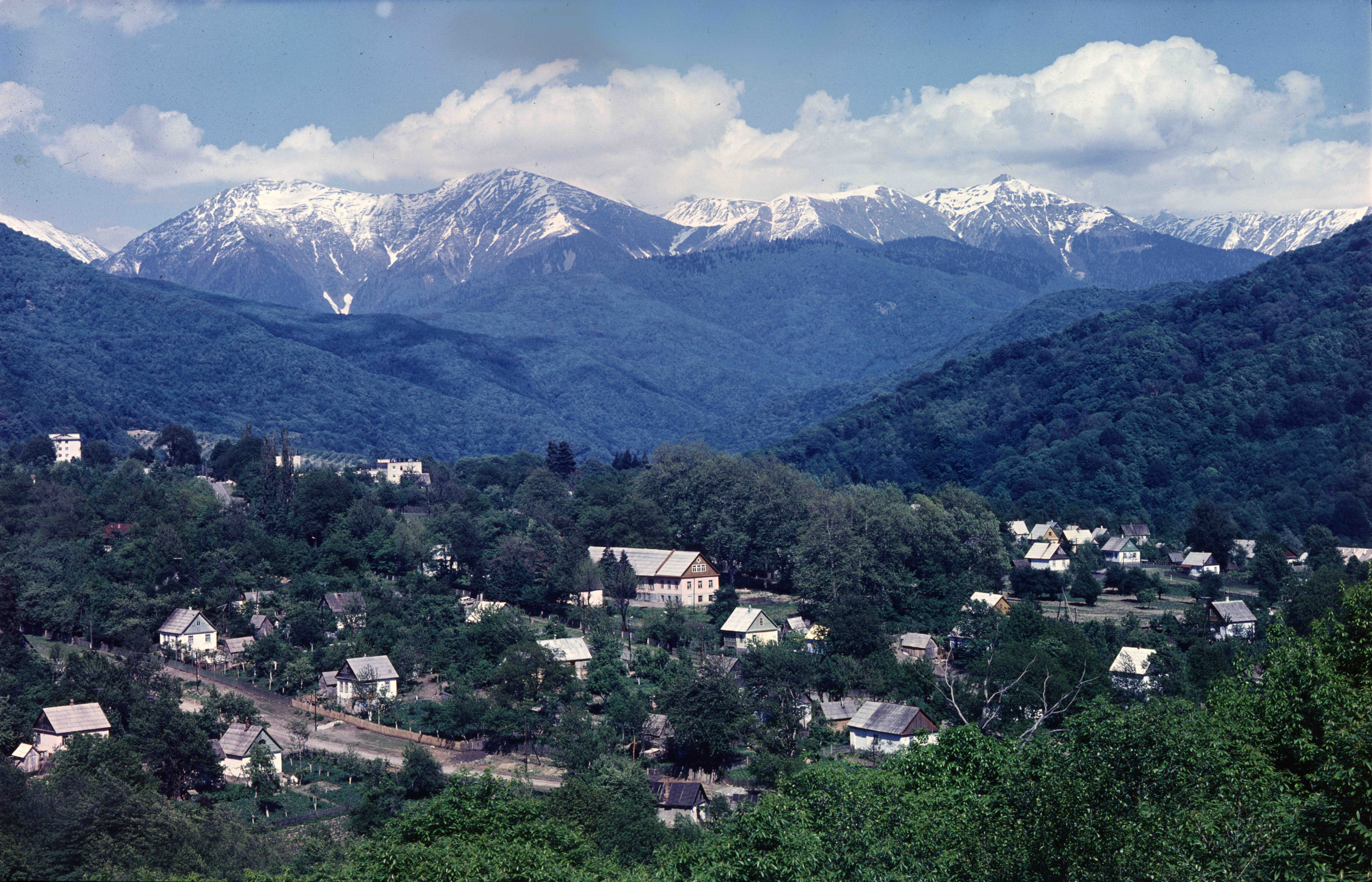 Геннадий Кук. Курортное дело