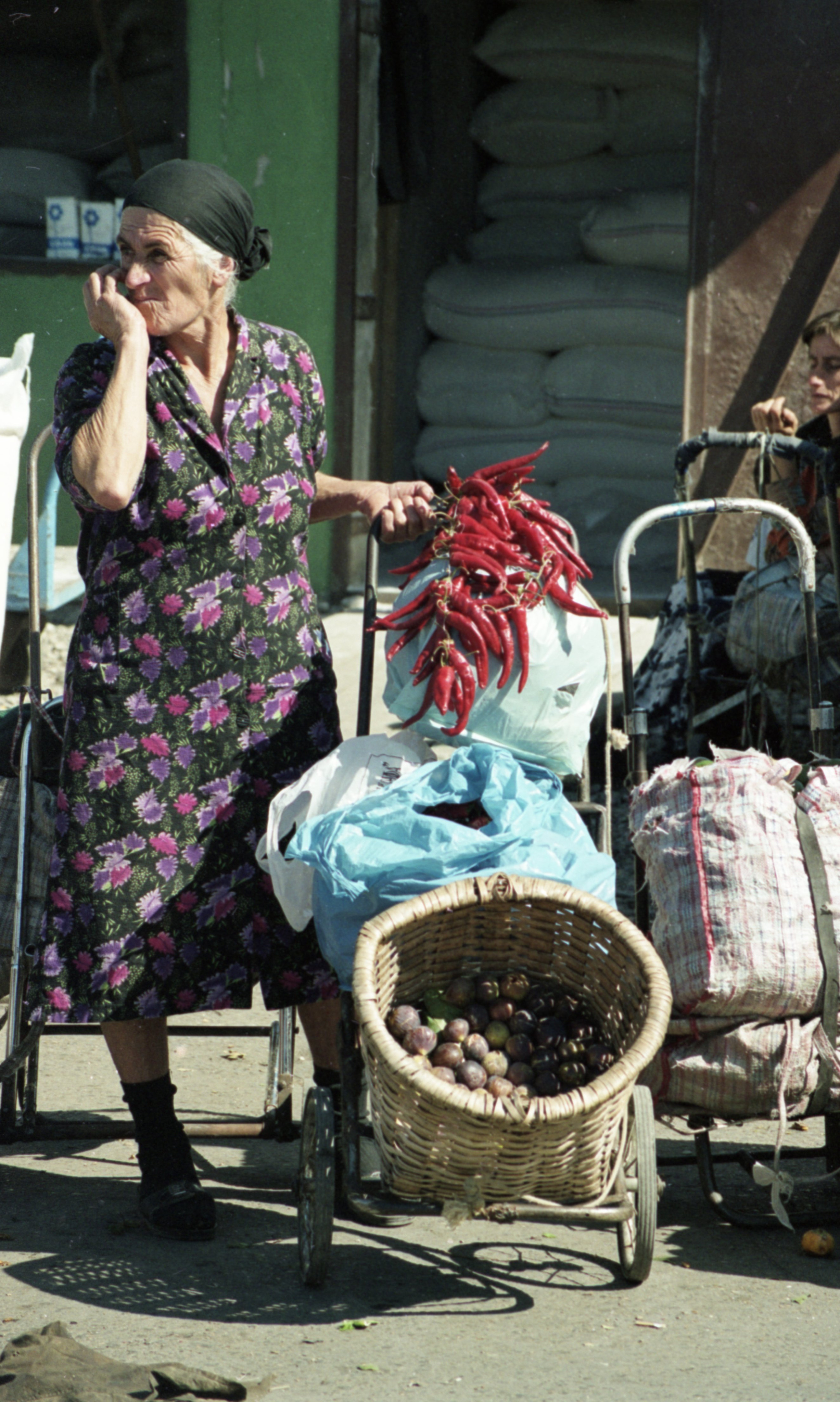 Виктор Клюшкин