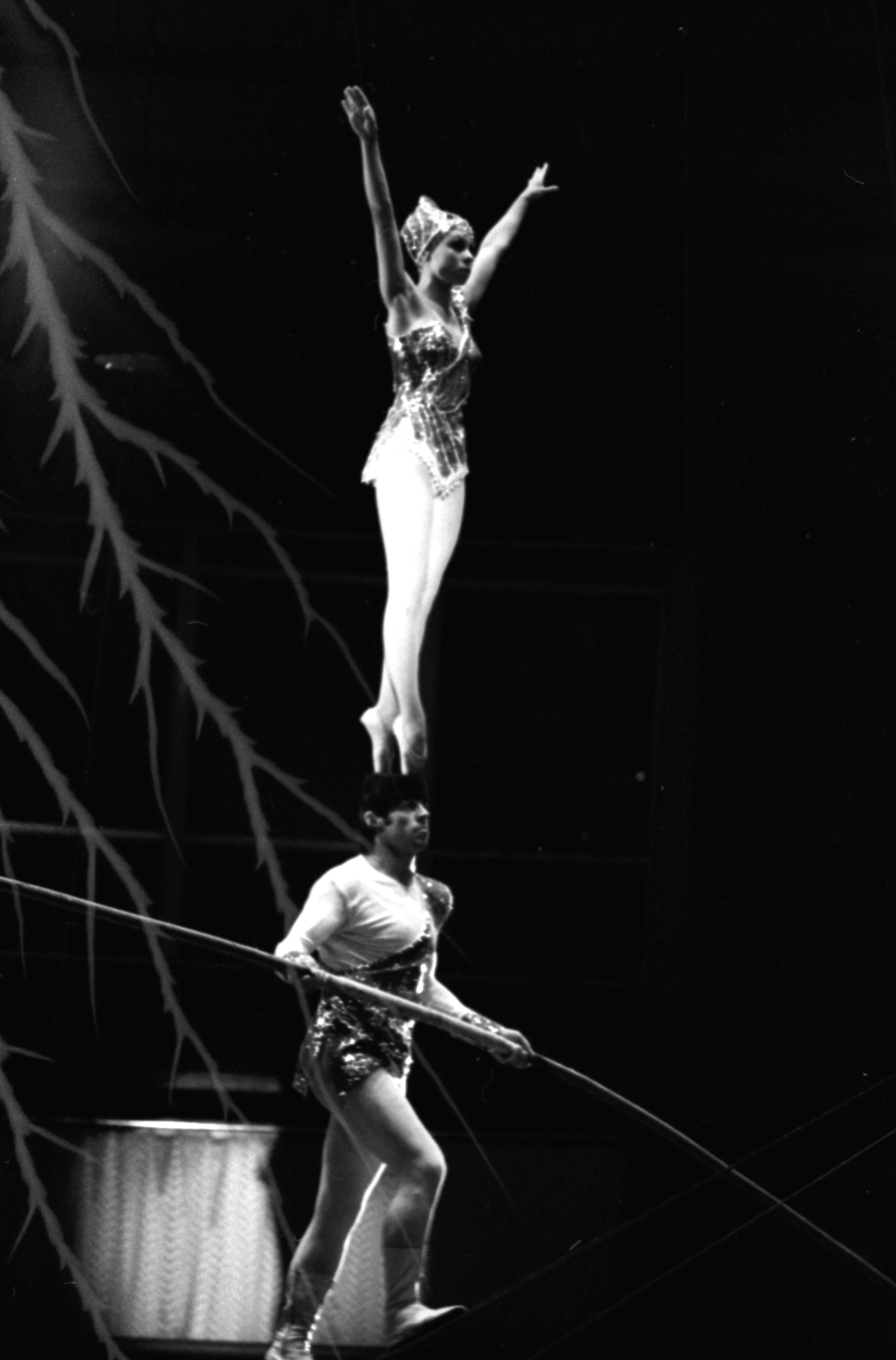 Виктор Клюшкин. Курортное дело