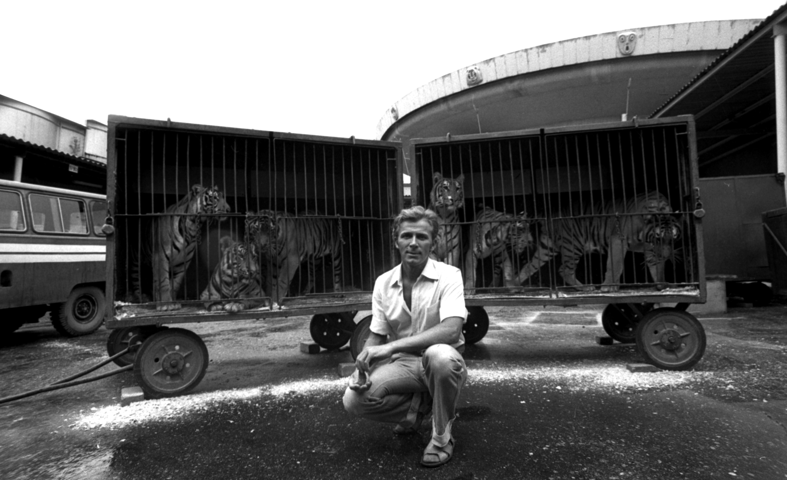 Виктор Клюшкин. Курортное дело