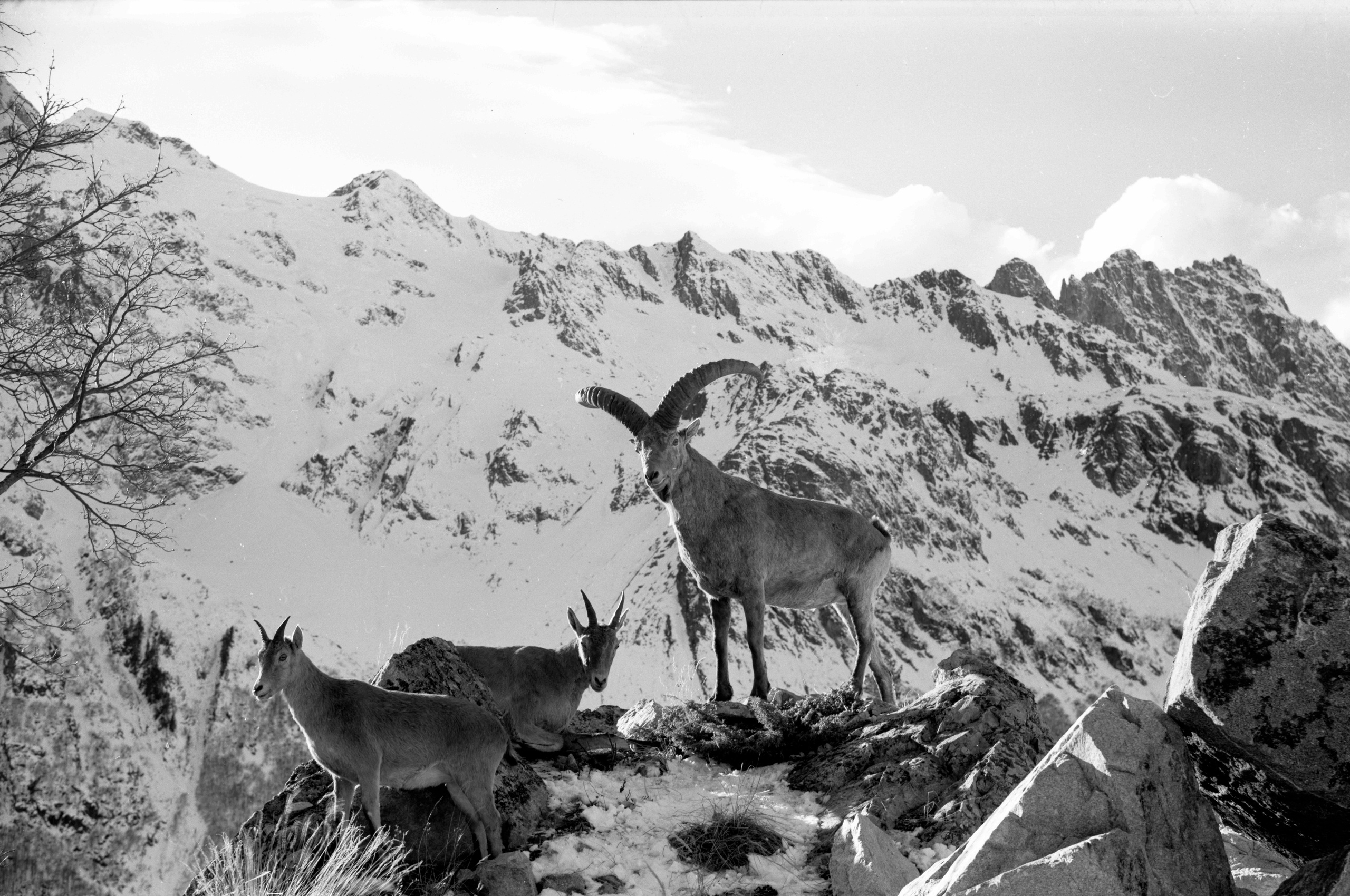 Геннадий Кук. Курортное дело