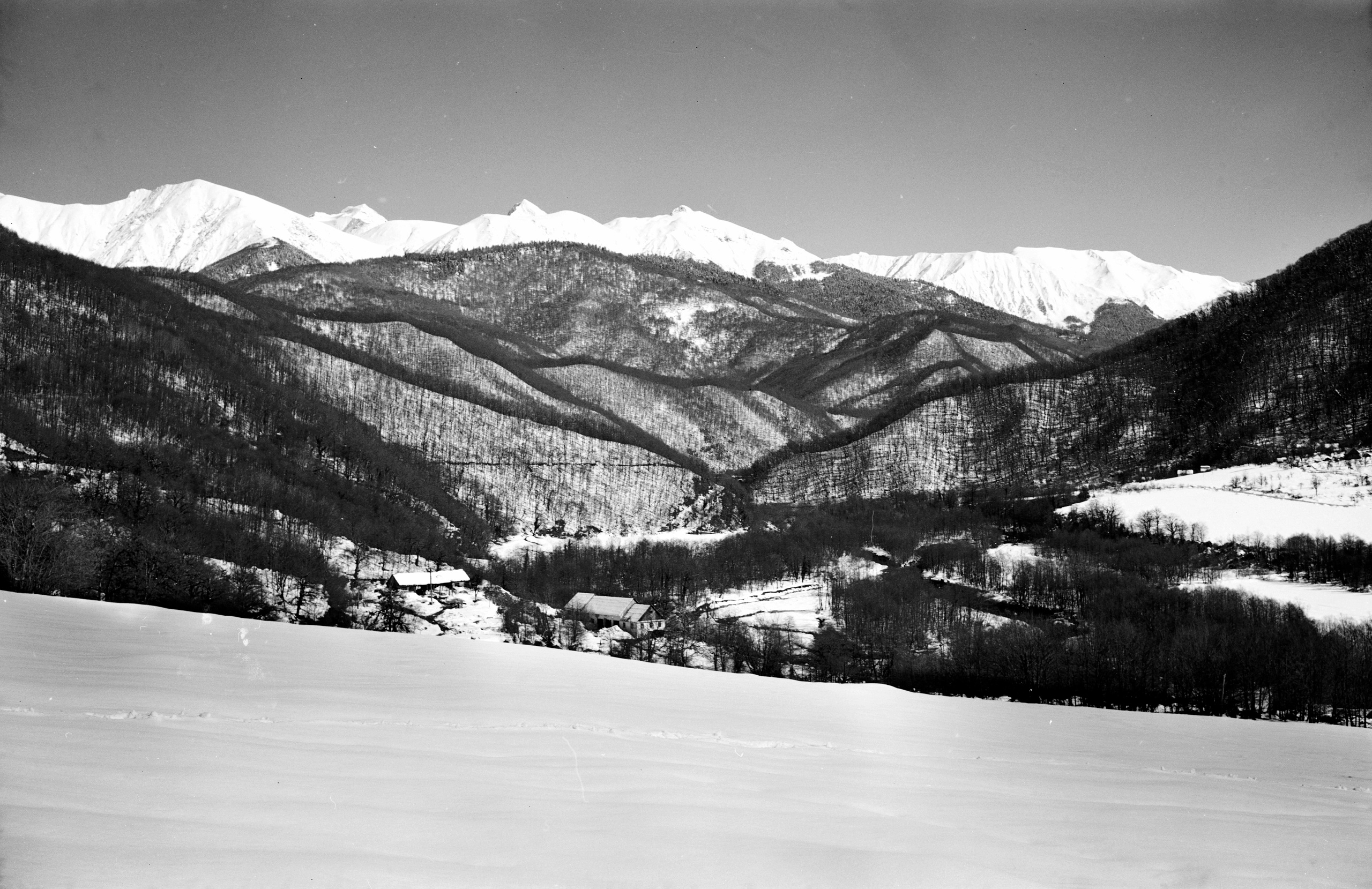 Геннадий Кук. Курортное дело