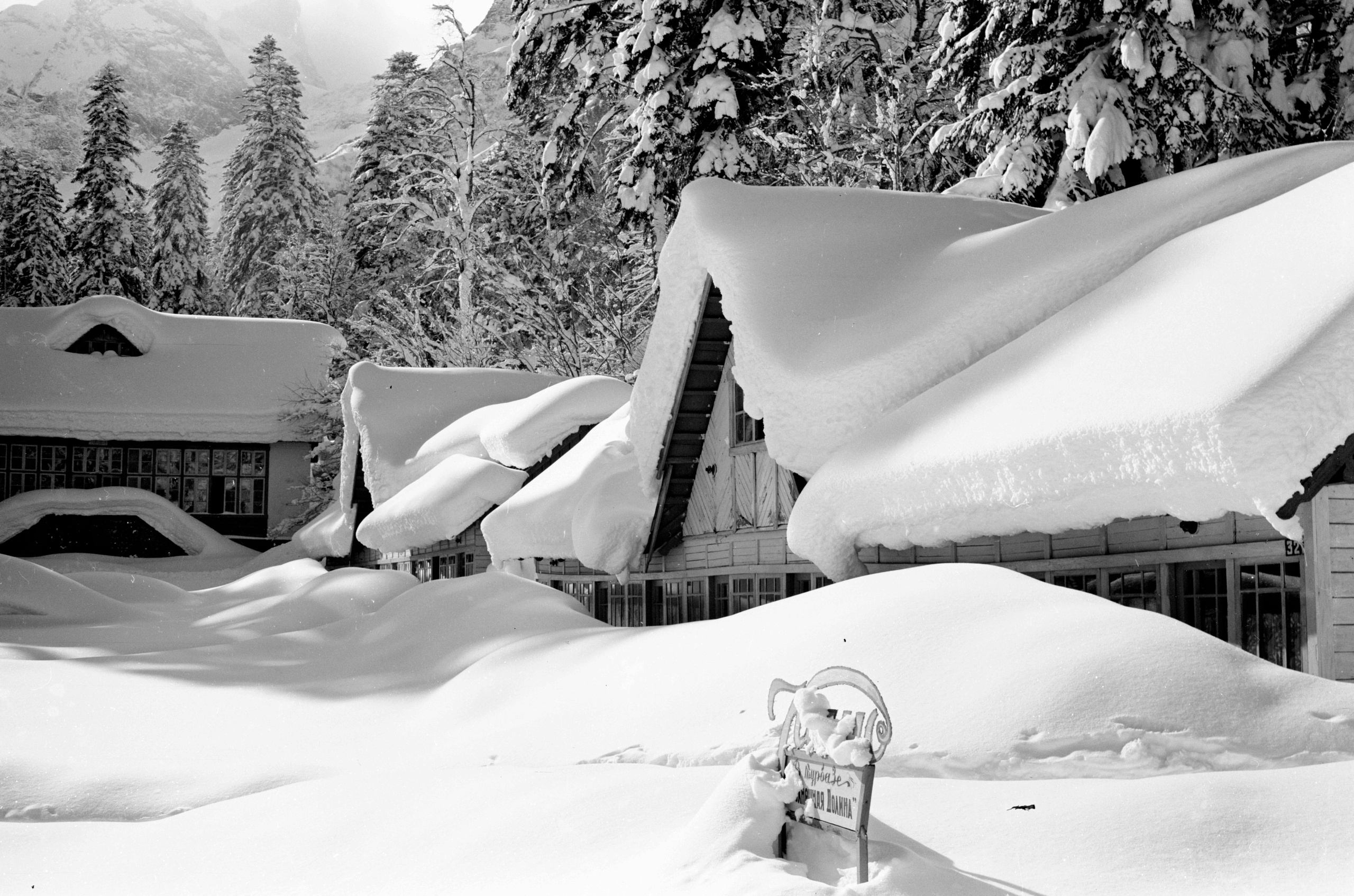 Геннадий Кук. Курортное дело