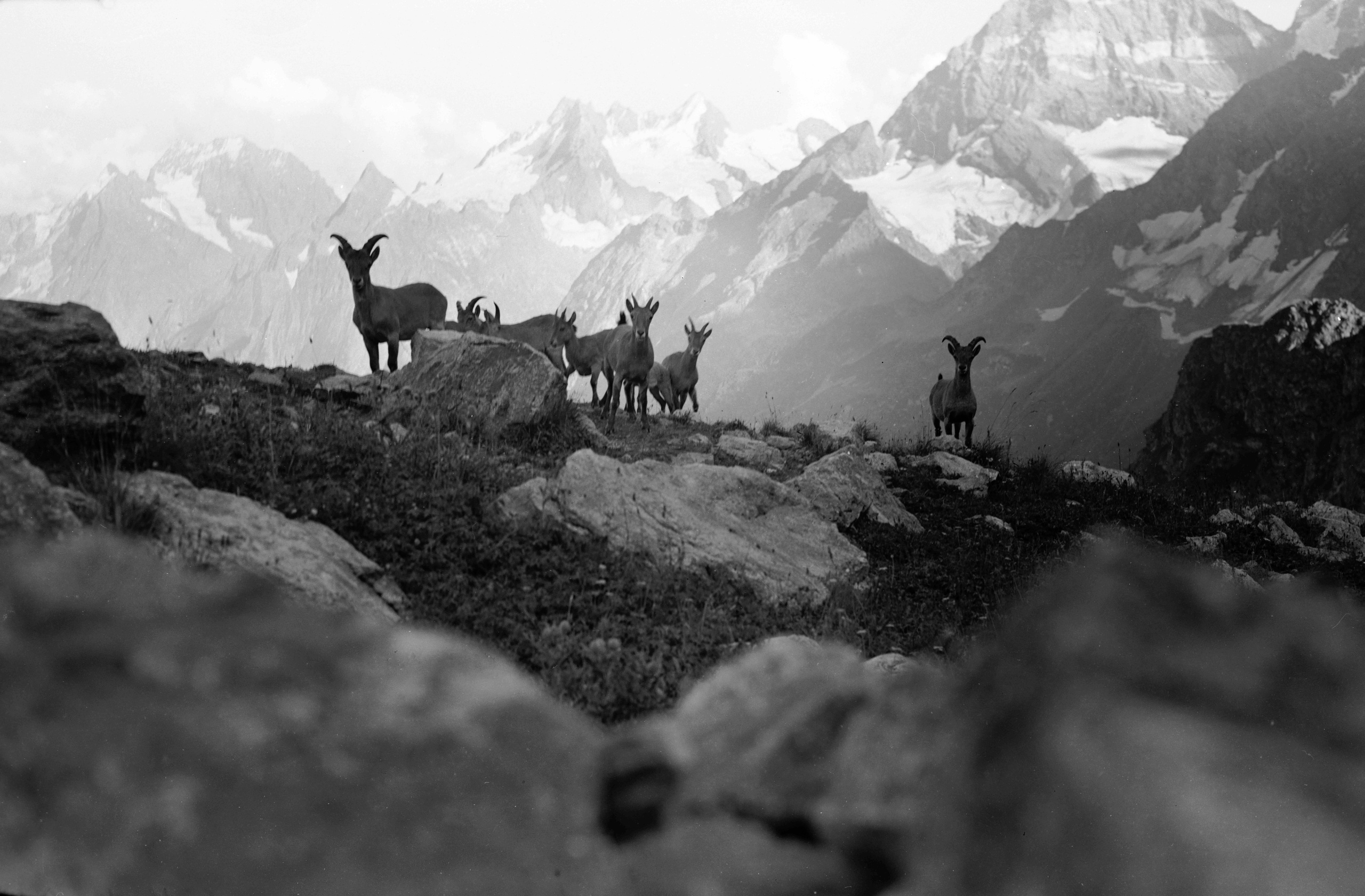 Геннадий Кук. Курортное дело