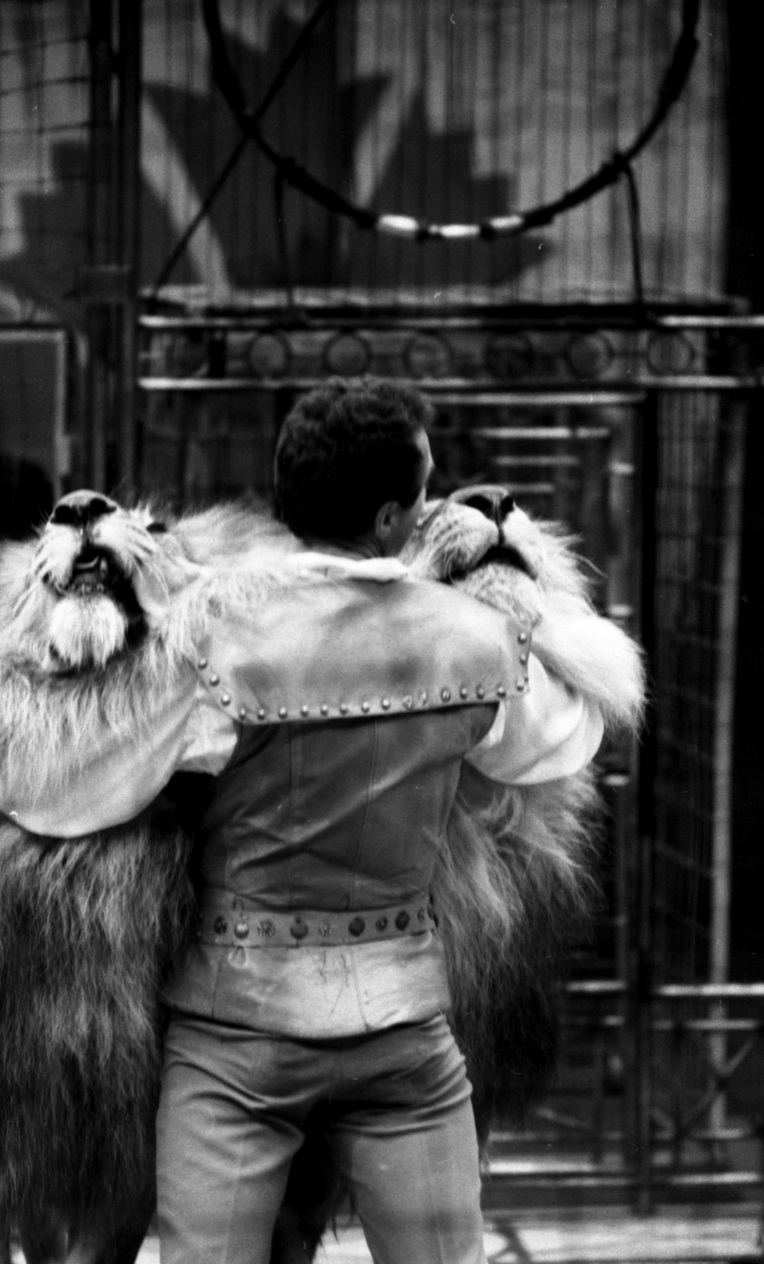 Виктор Клюшкин. Курортное дело