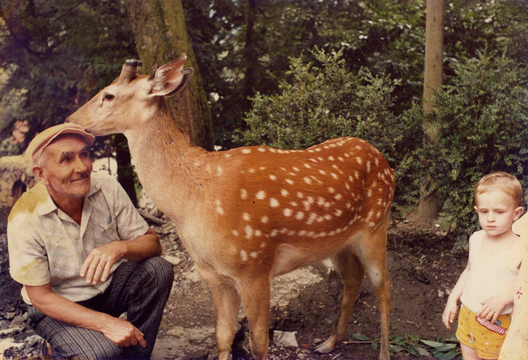 Геннадий Кук. Курортное дело