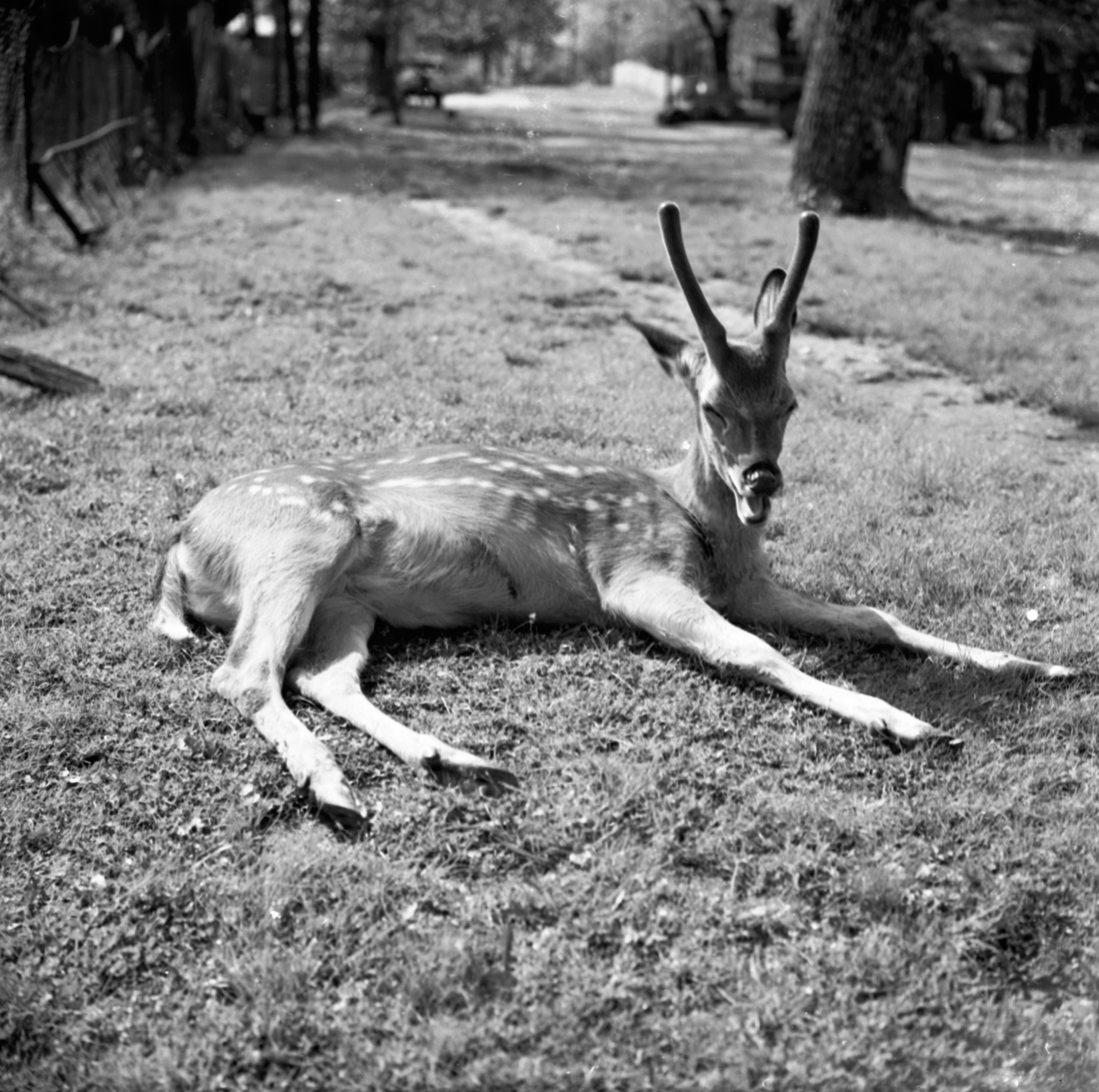 Геннадий Кук. Курортное дело
