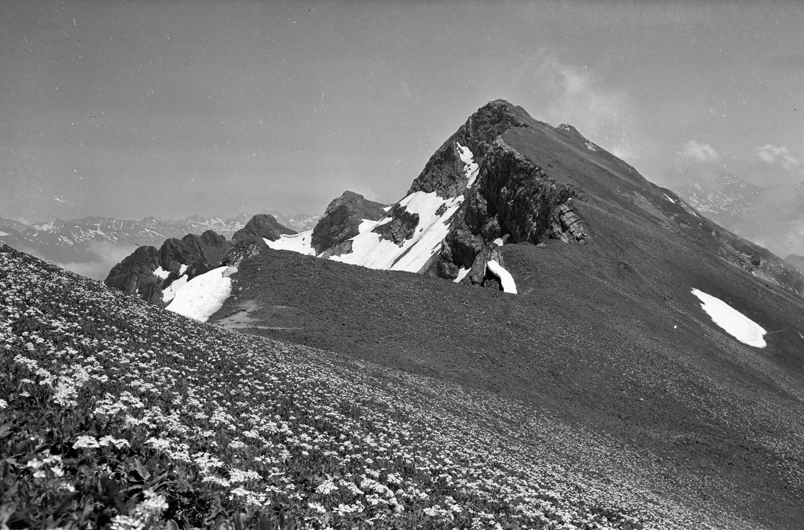 Геннадий Кук. Курортное дело