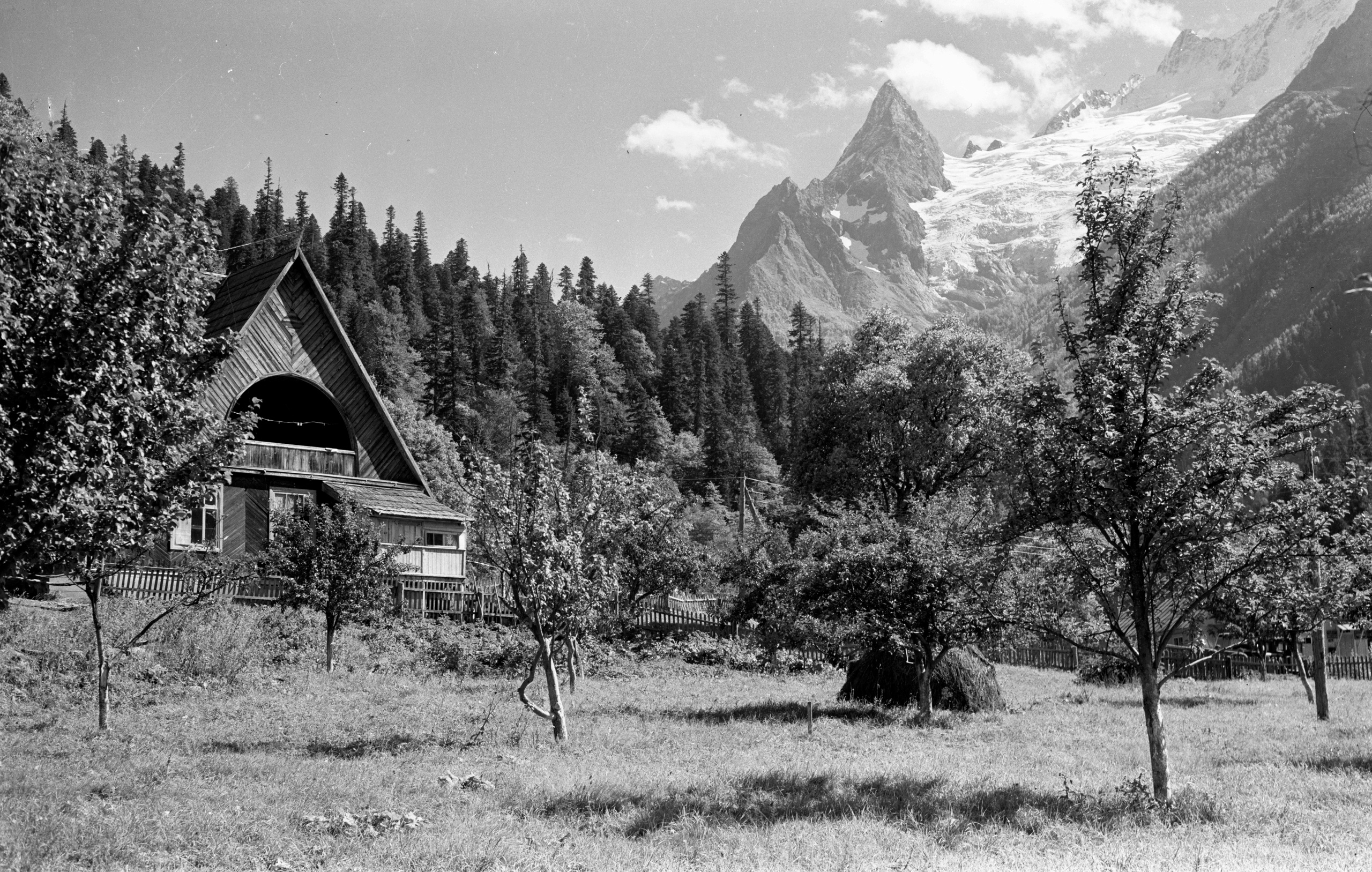 Геннадий Кук. Курортное дело