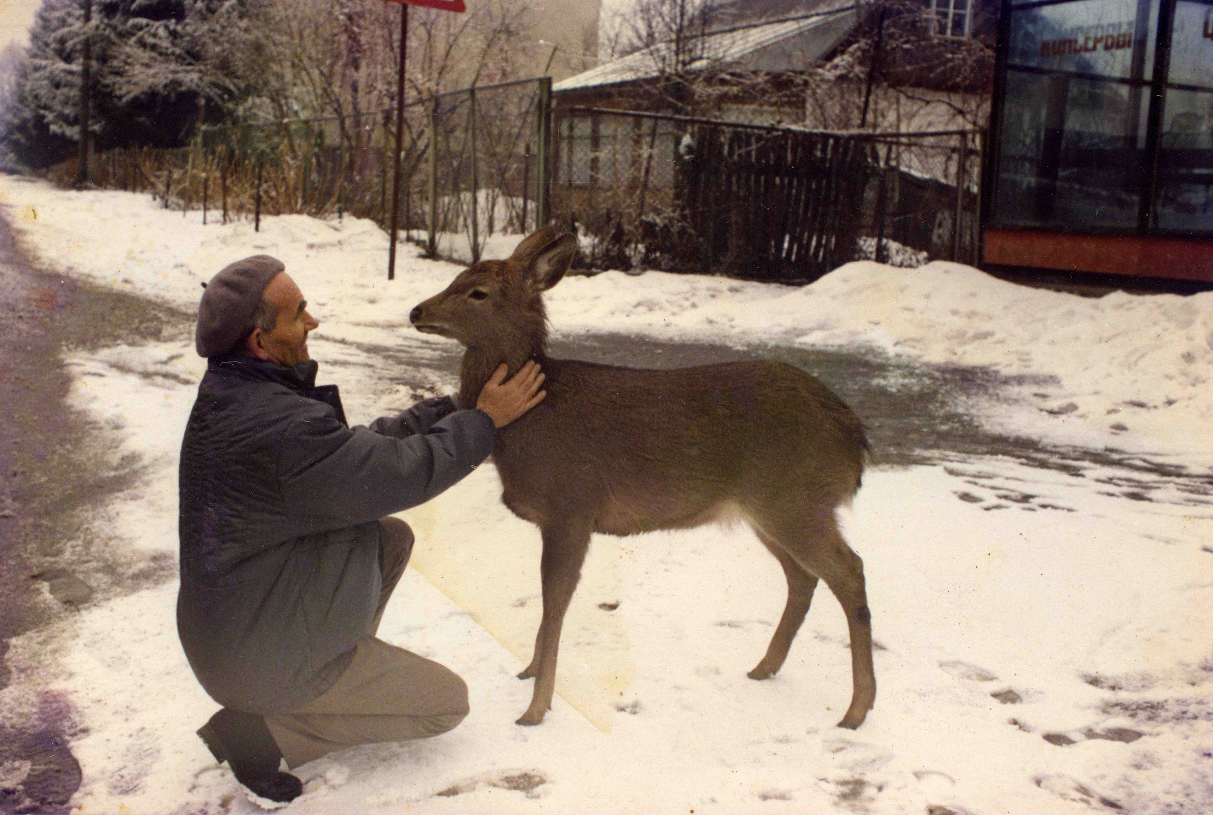 Геннадий Кук. Курортное дело