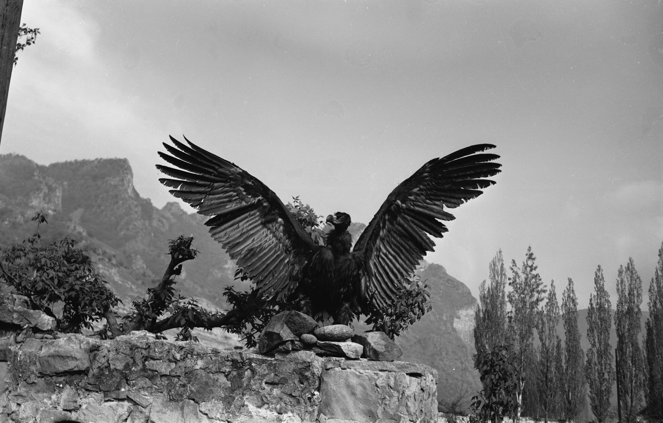 Геннадий Кук. Курортное дело