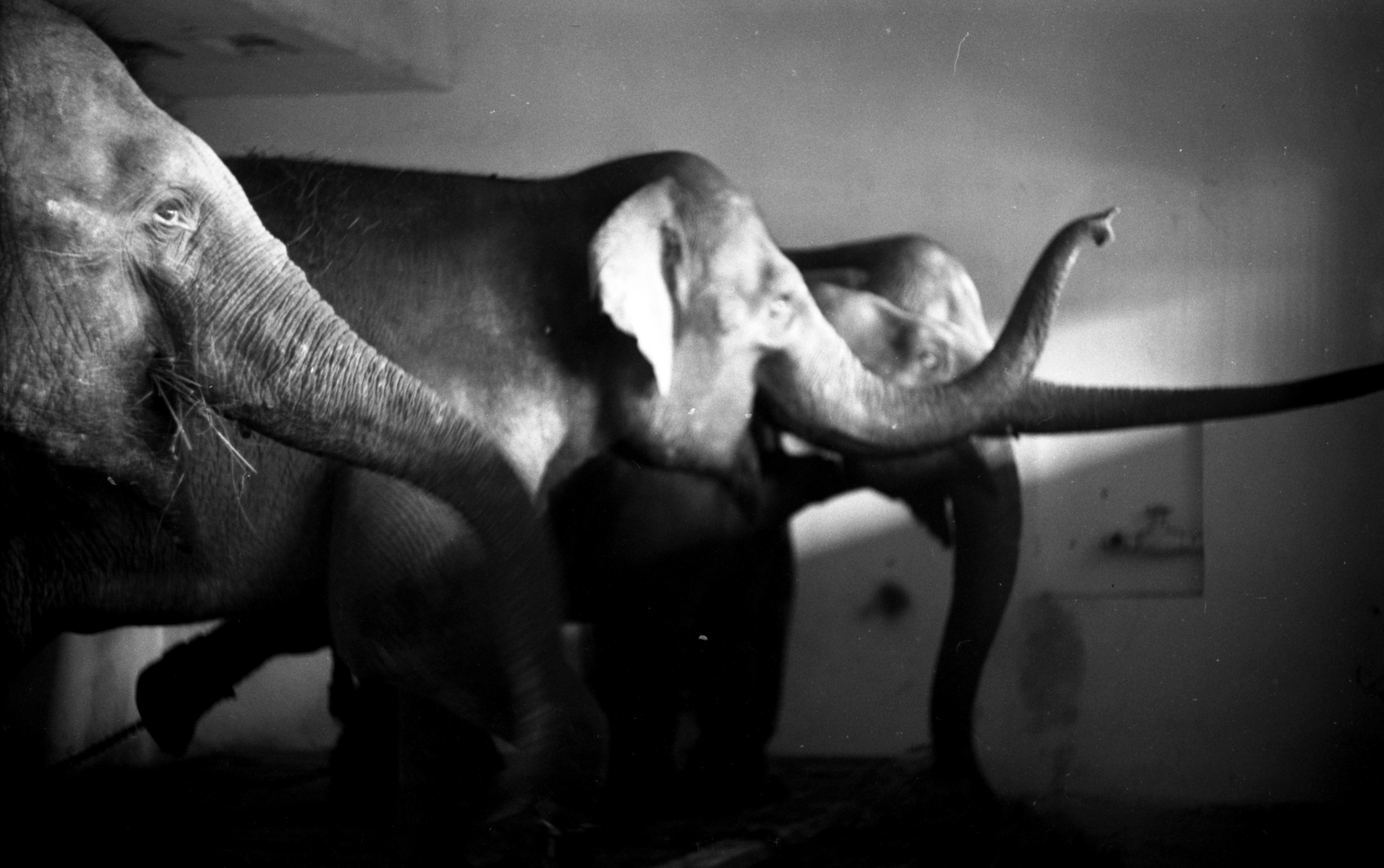 Виктор Клюшкин. Курортное дело