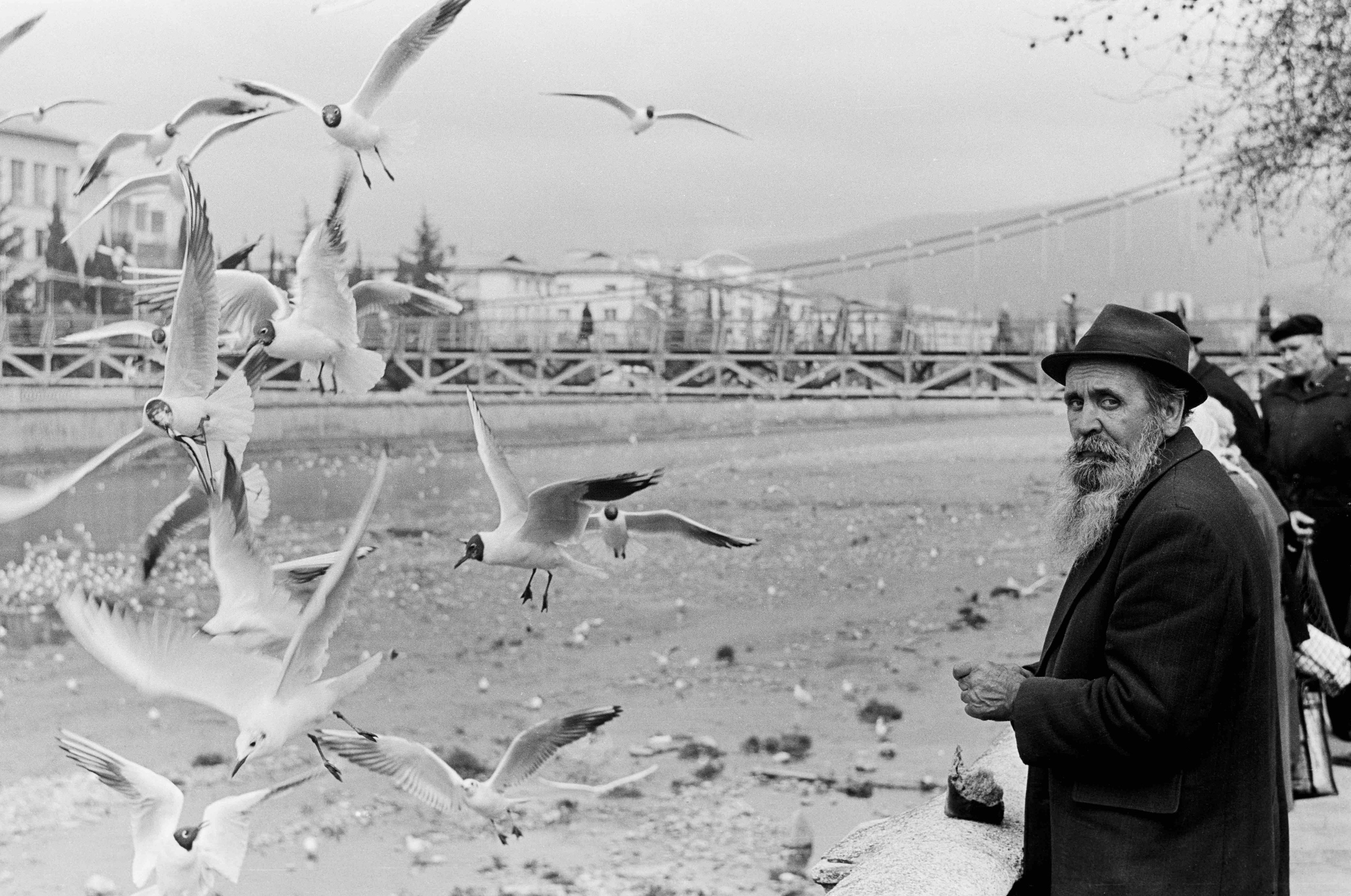 Виктор Клюшкин. Курортное дело