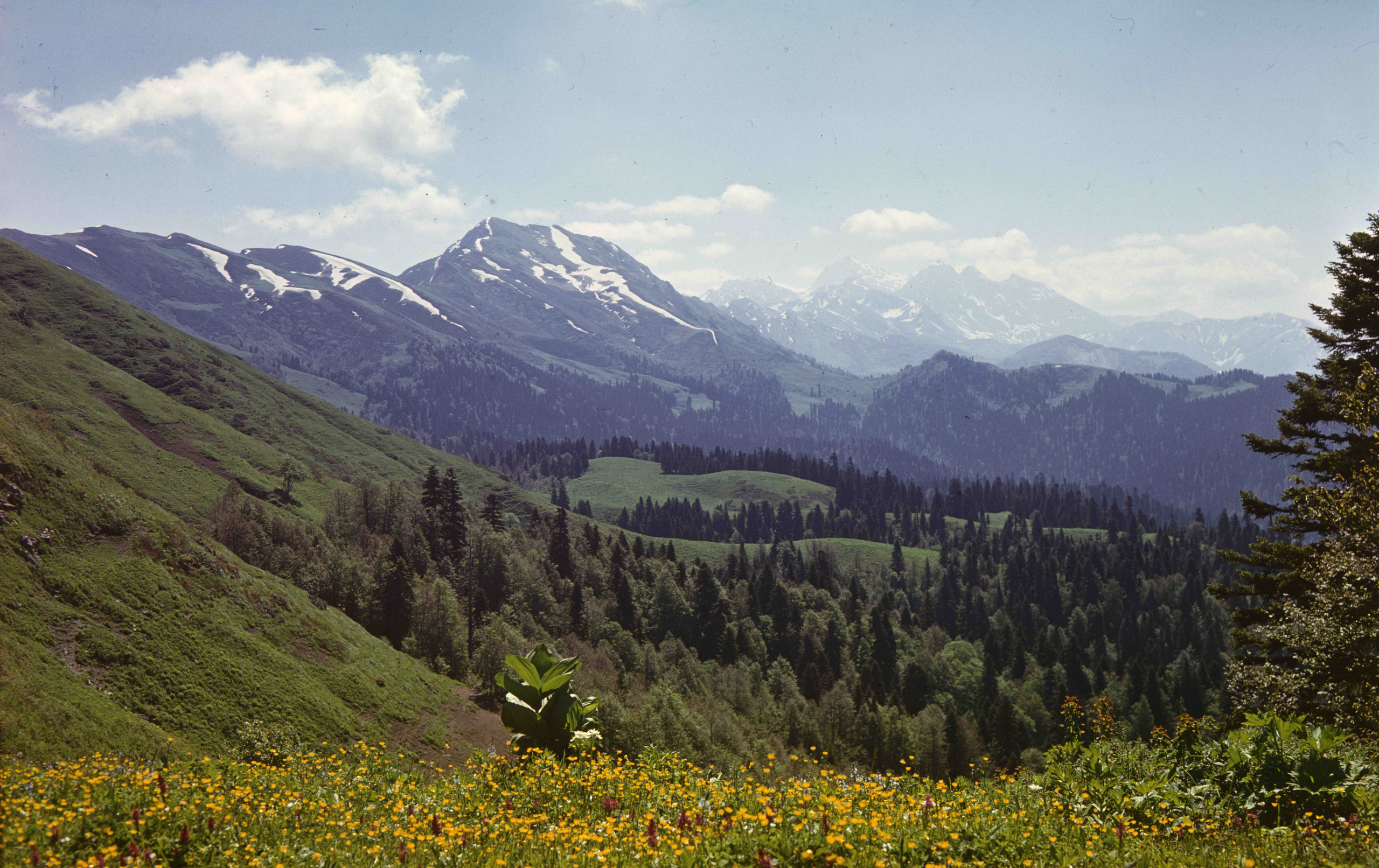 Геннадий Кук. Курортное дело