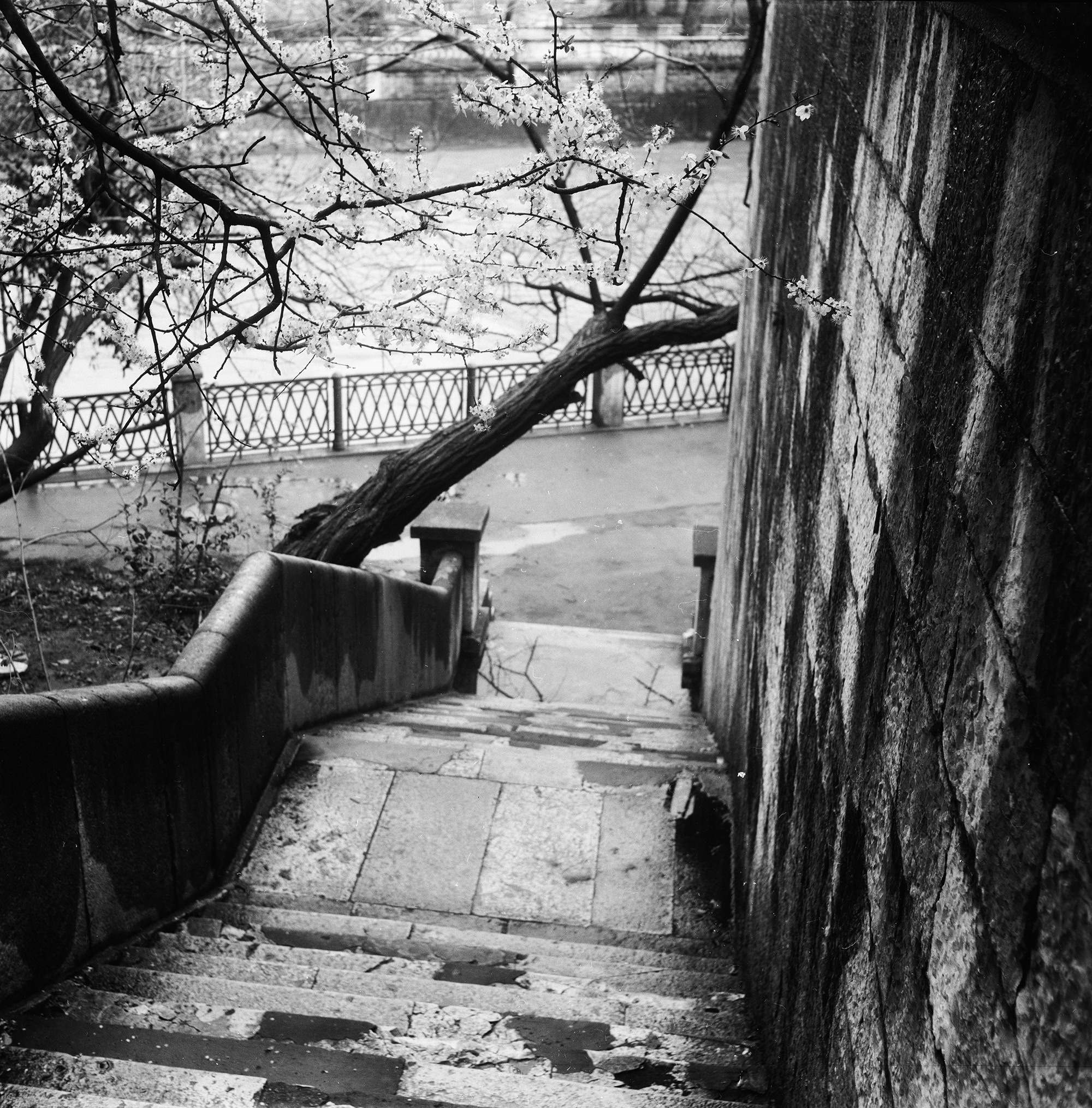 Виктор Клюшкин