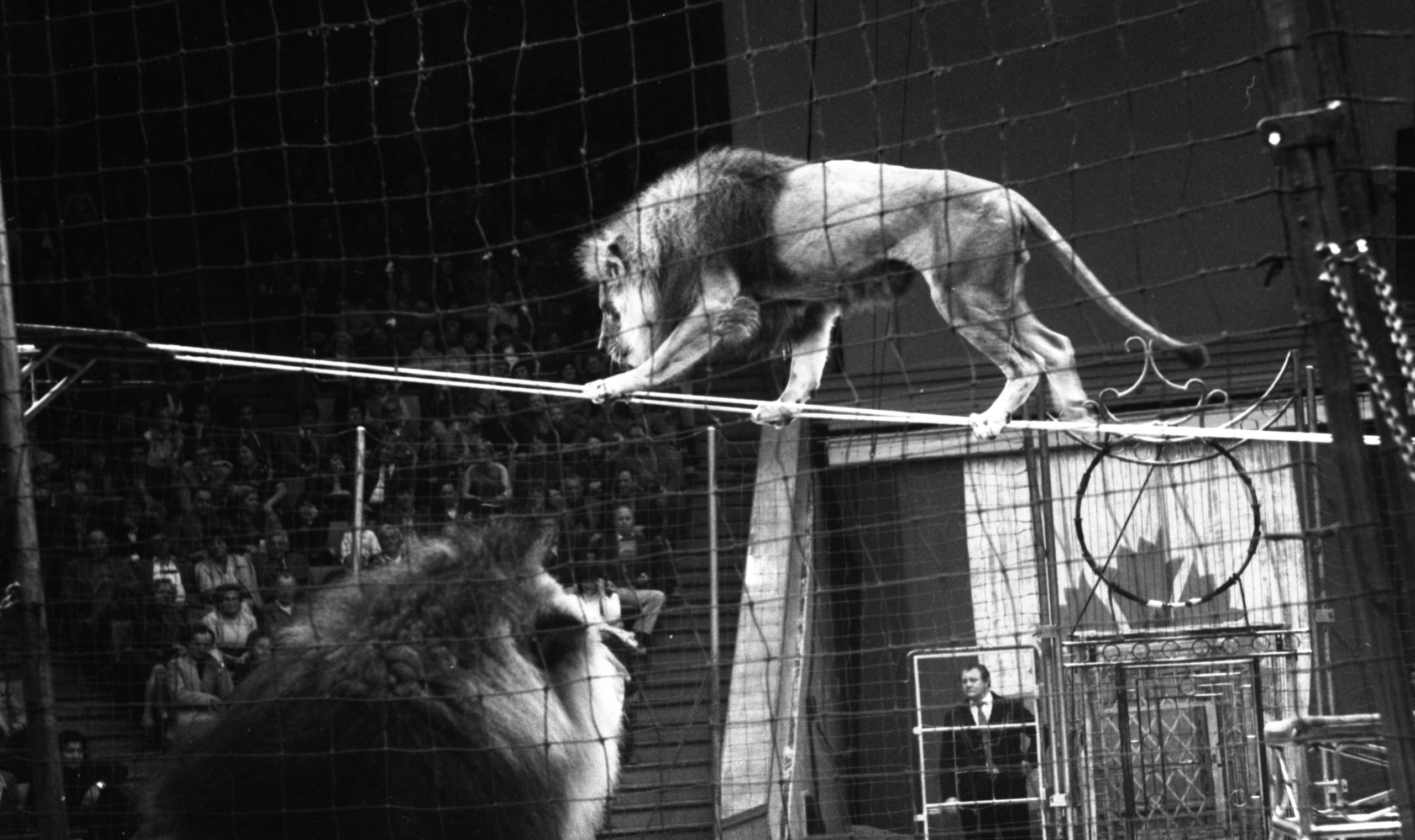 Виктор Клюшкин. Курортное дело