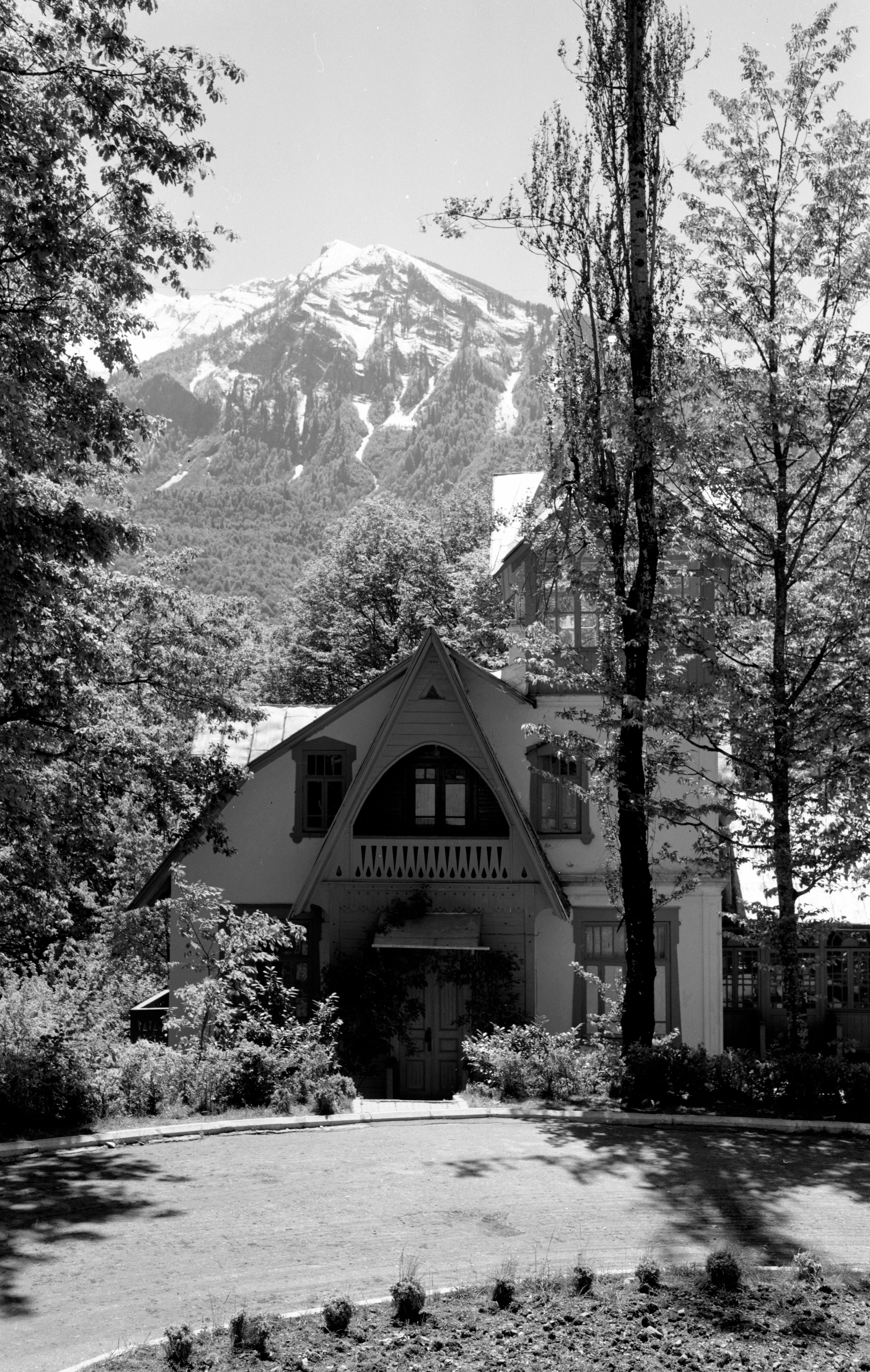 Геннадий Кук. Курортное дело