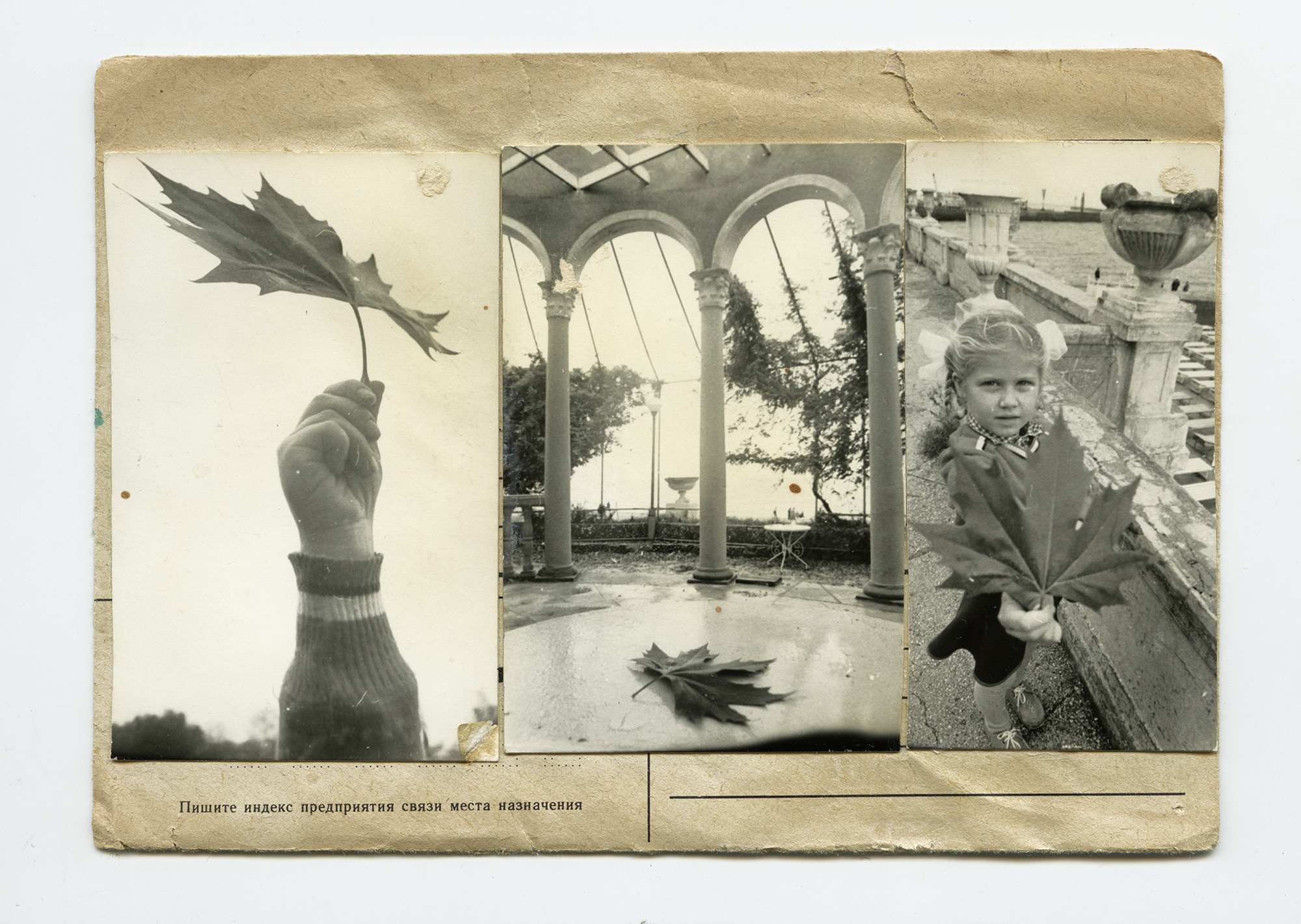 Виктор Клюшкин