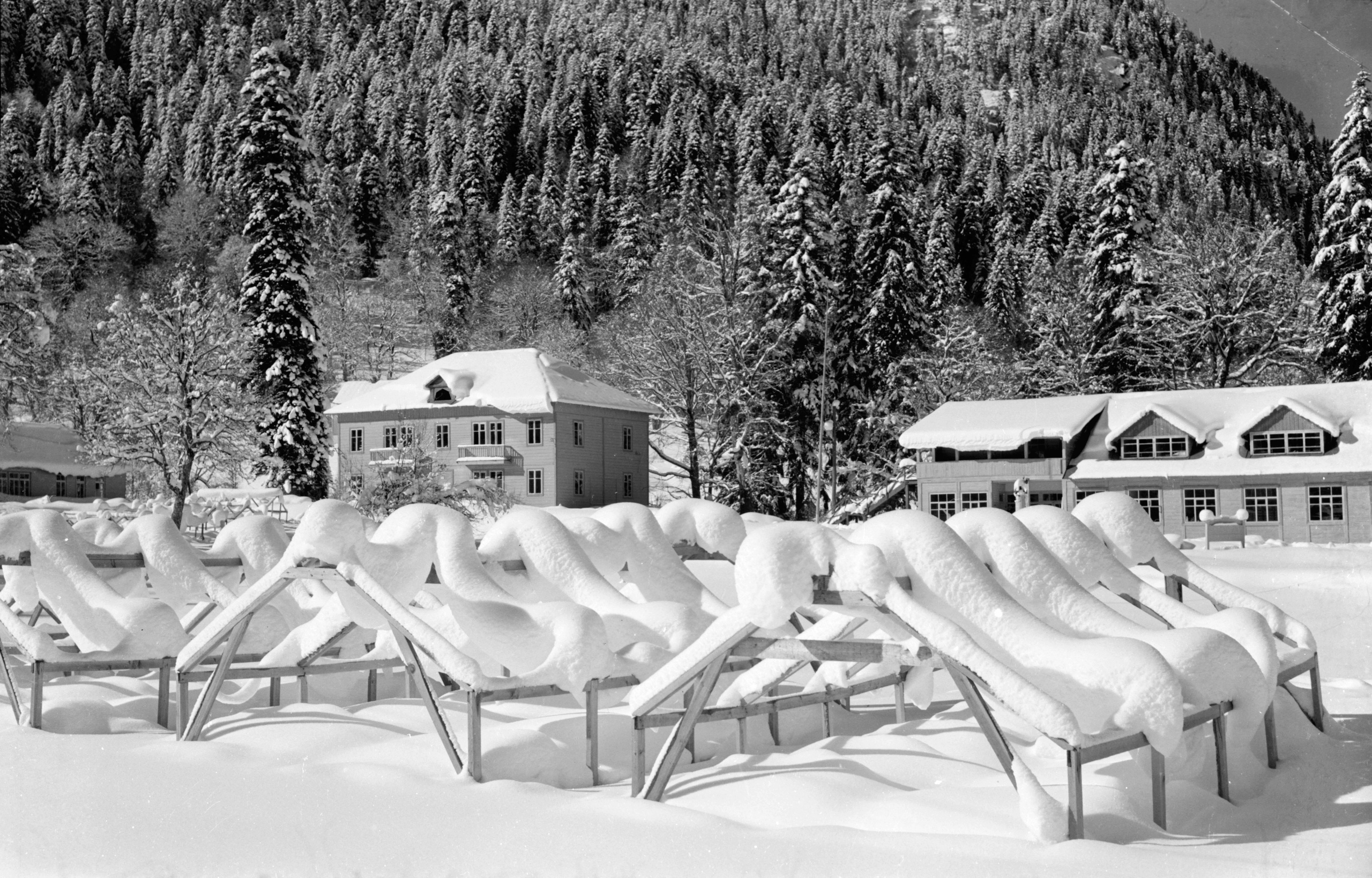 Геннадий Кук. Курортное дело