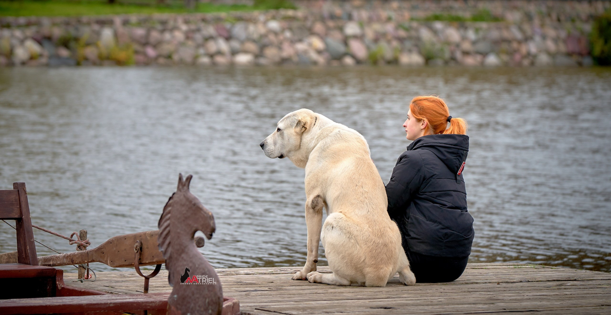 Съемка собак с владельцем на прогулке