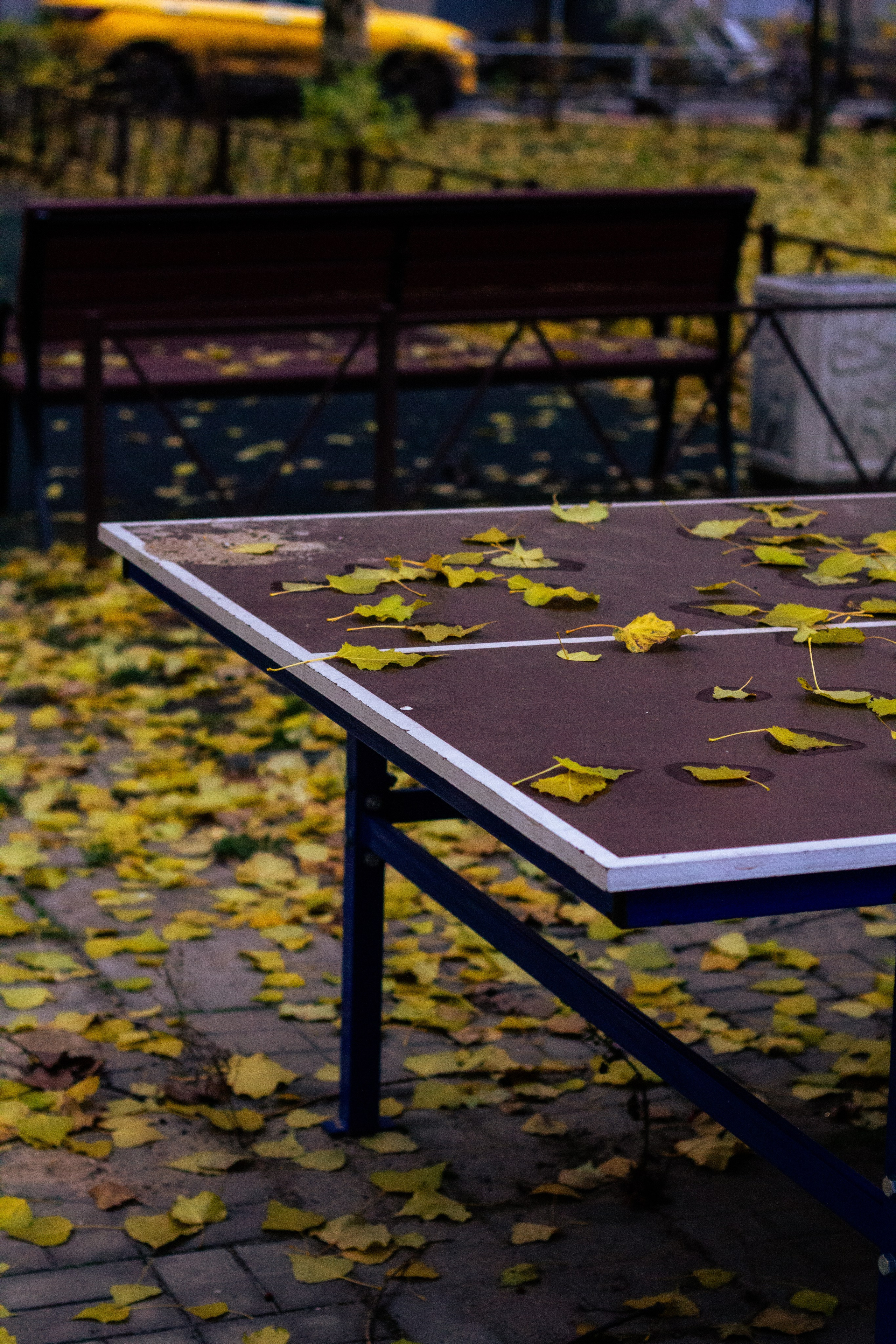 Осень в Москве. Фотограф Москва, портрет, стрит, репортаж. Художественная фотосессия