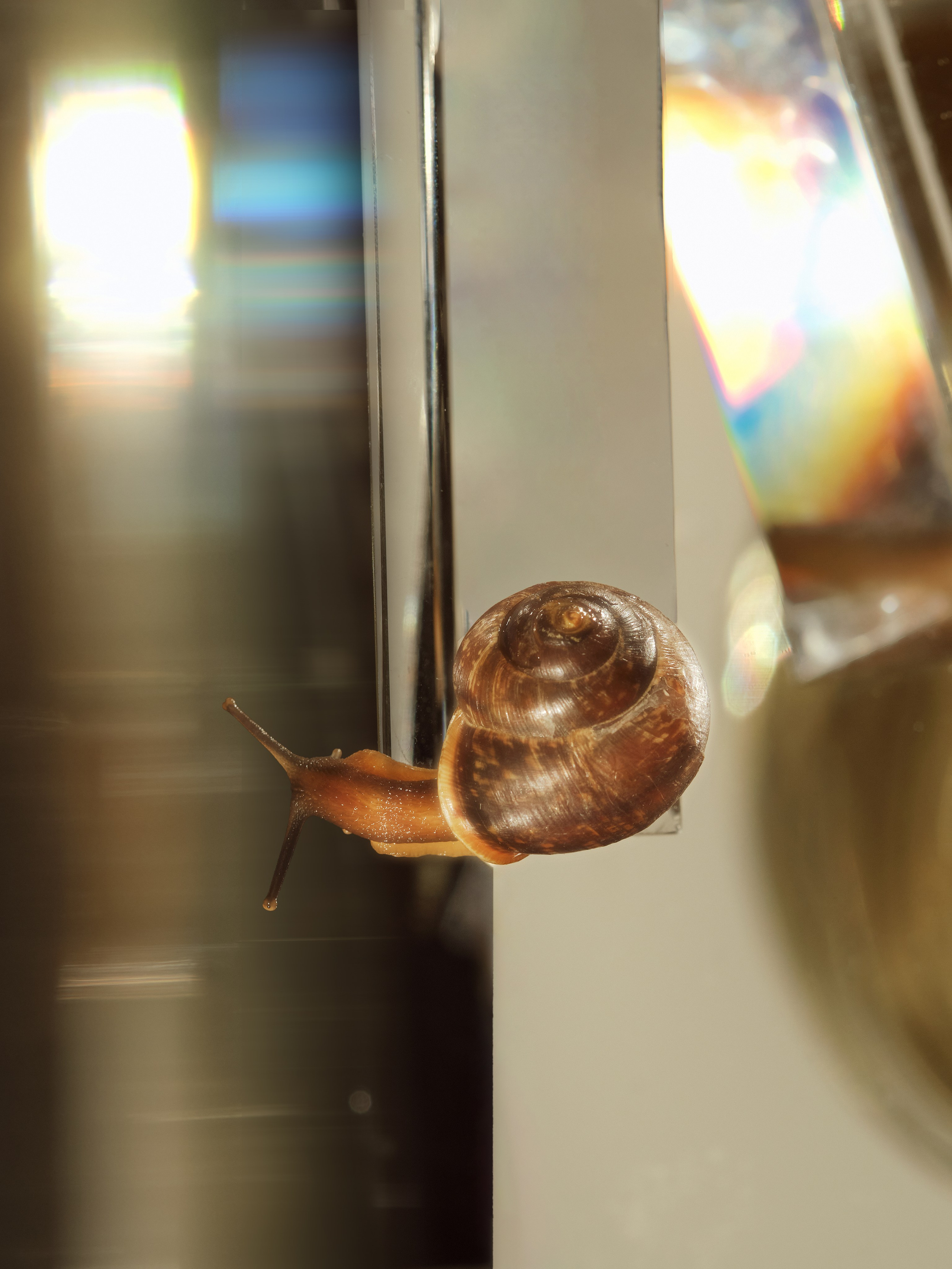 Предметный фотограф | Санкт-Петербург | Кристи Хареба