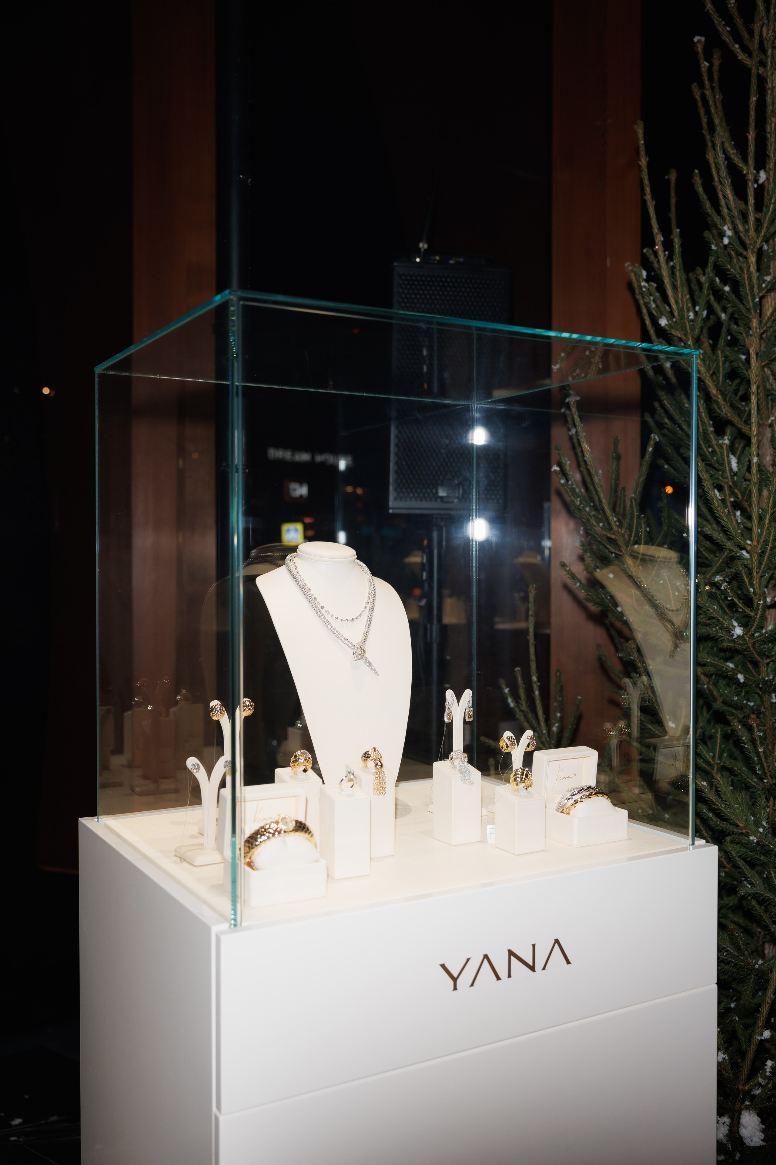 «Снежный Бал» Яны Раскаваловой. «Птичка на проводе»: информационный портал в Москве