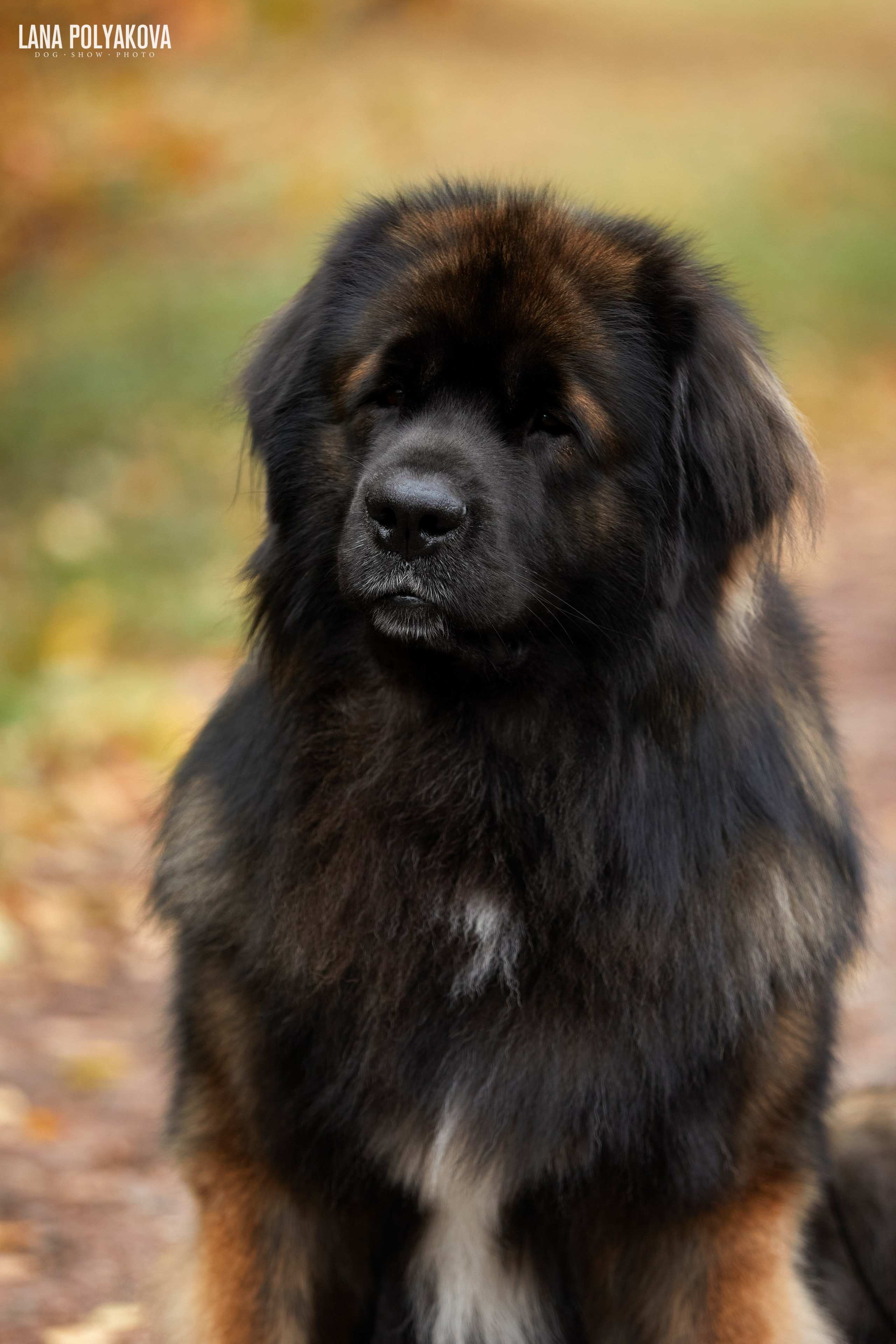 Лернбергеры на прогулке в Санкт-Петербурге