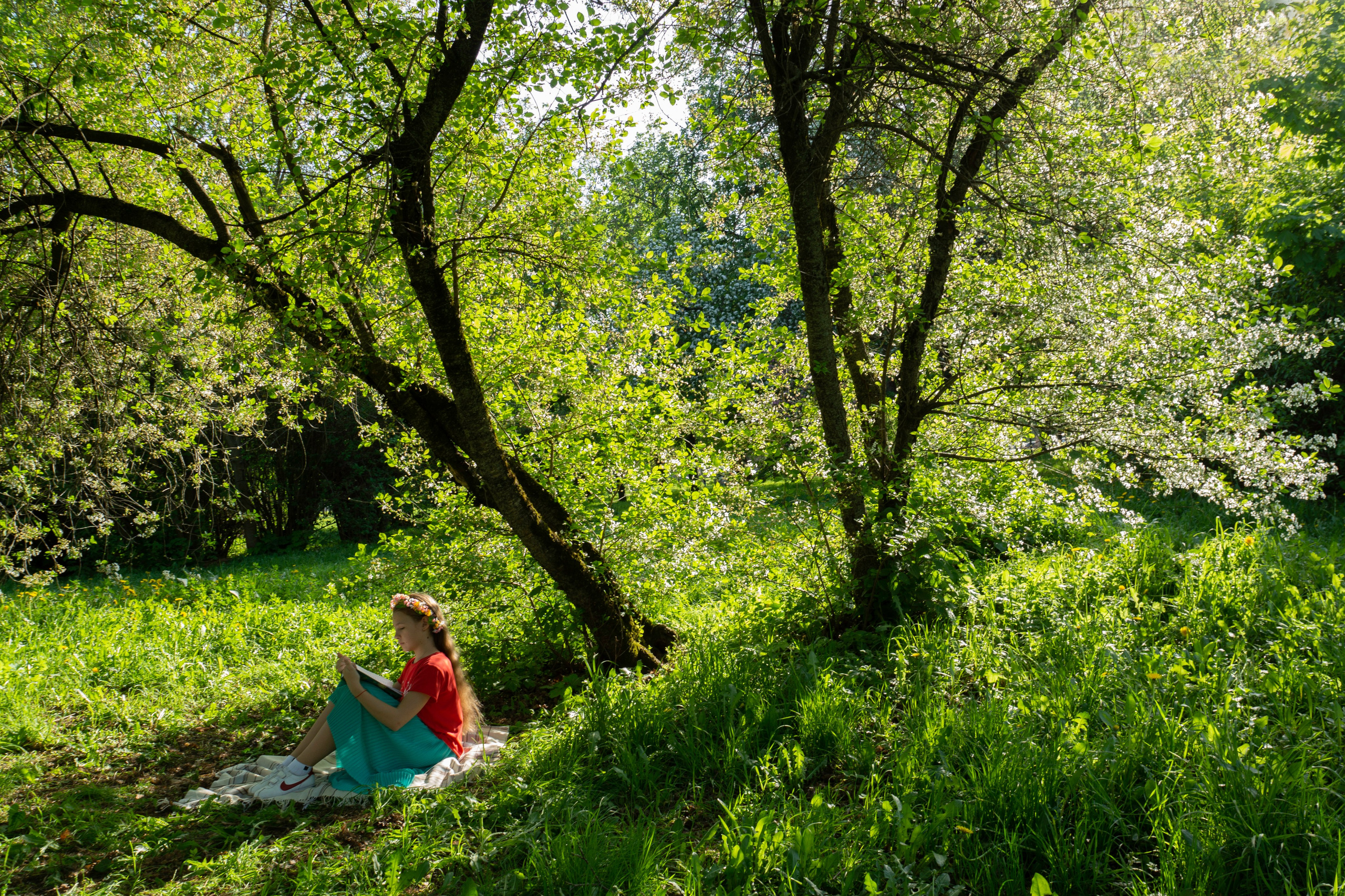Курс «С нуля»