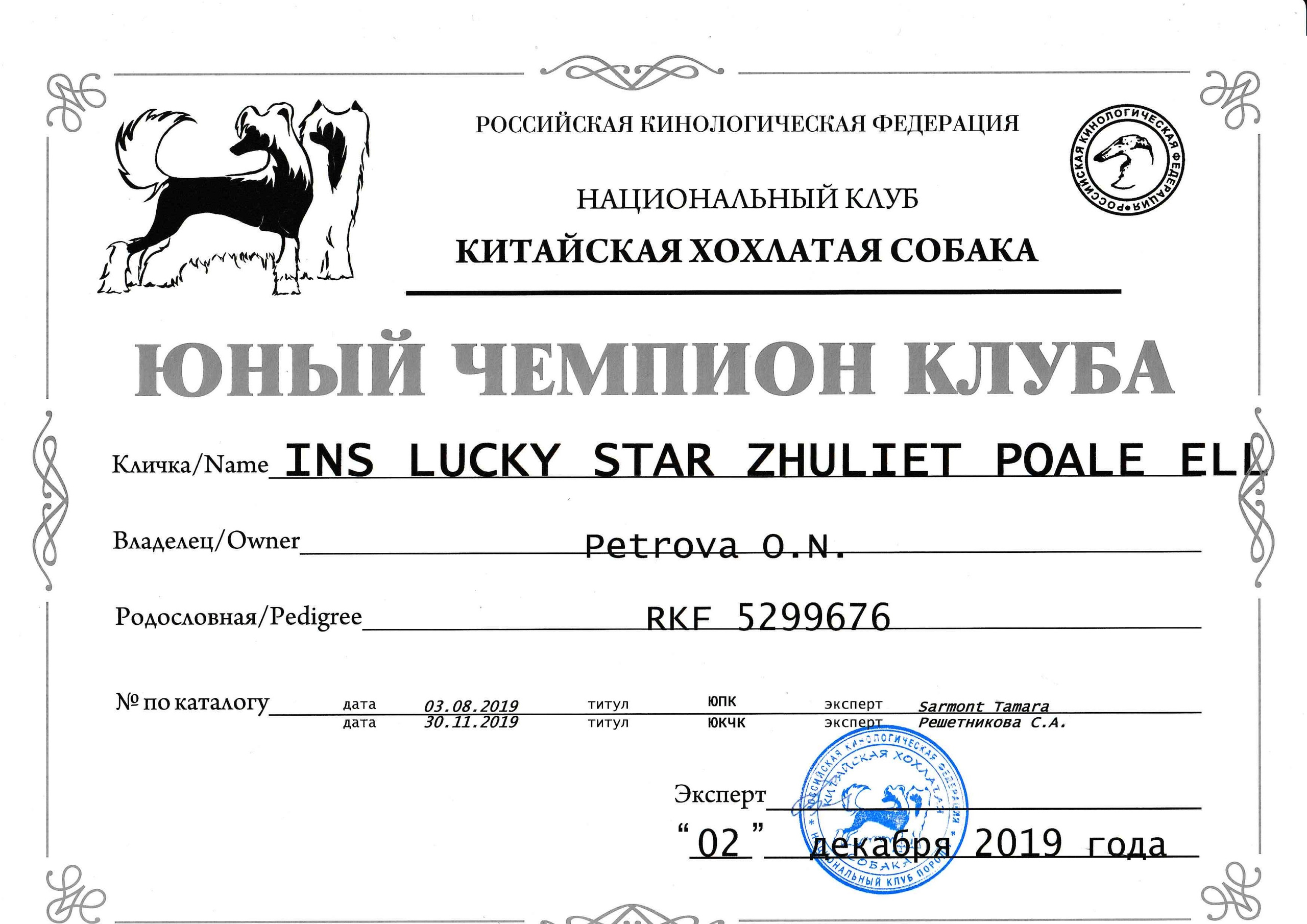 Ins Lucky Star Zhuliet Poale Ell. Питомник китайских хохлатых собак Poale Ell: купить щенка