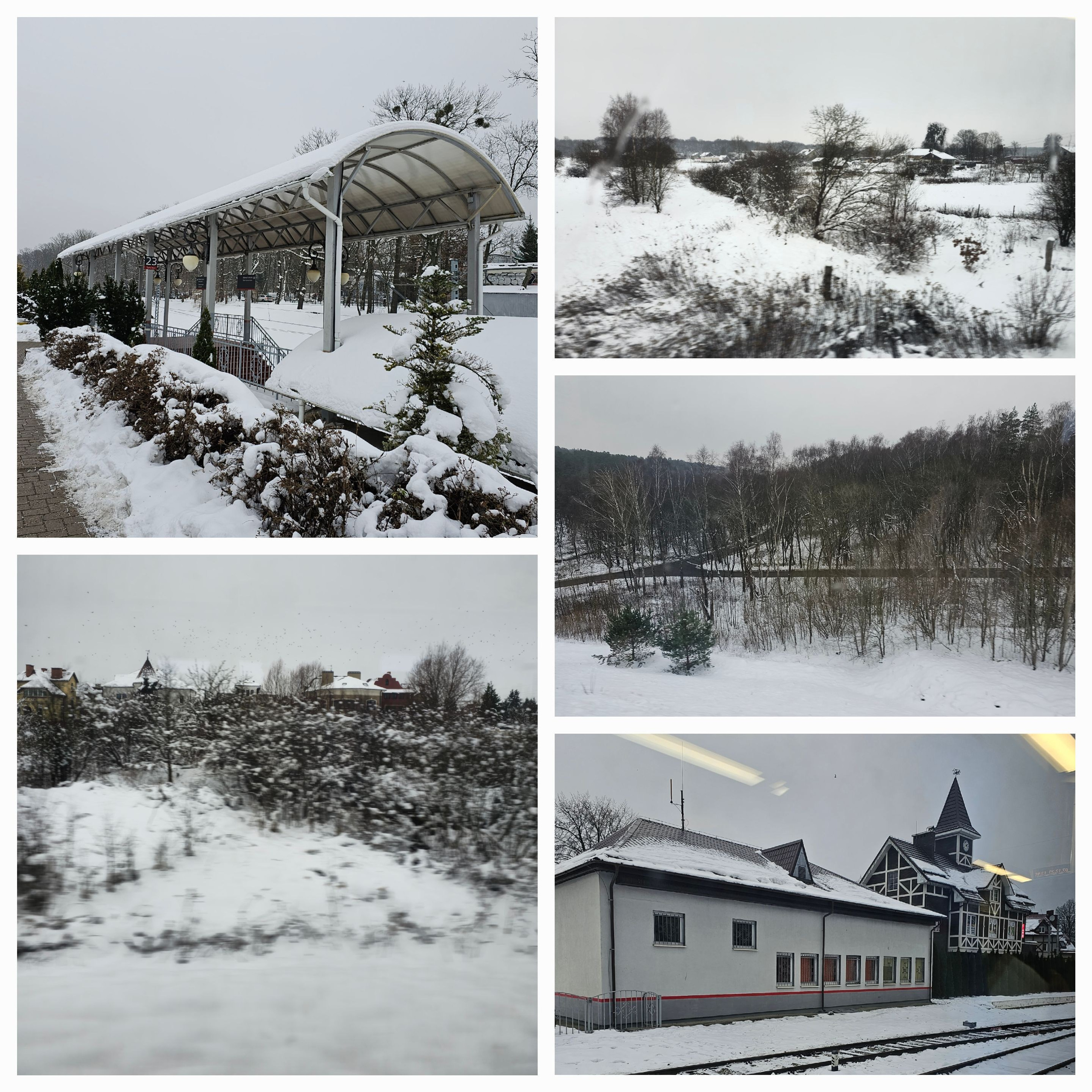 Зимний пейзаж, вид из окна электрички в Калининградской области.