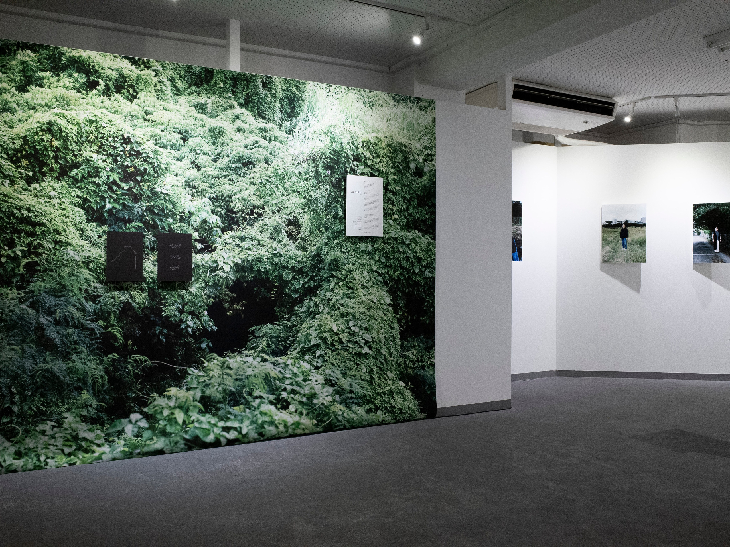 ИНТЕРВЬЮ С АВТОРАМИ: MOE SUZUKI. Самоорганизация Низина