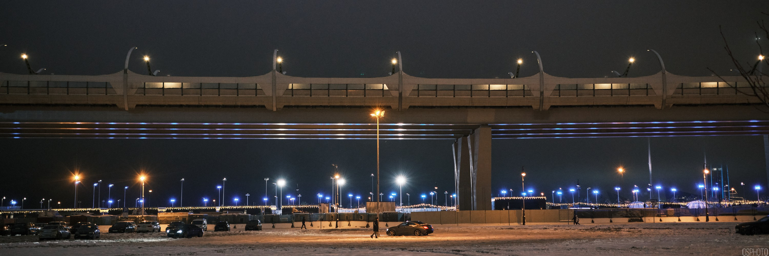 Снег и туман в Санкт-Петербурге. Фотографъ Сергѣевъ. Поймать мгновеніе