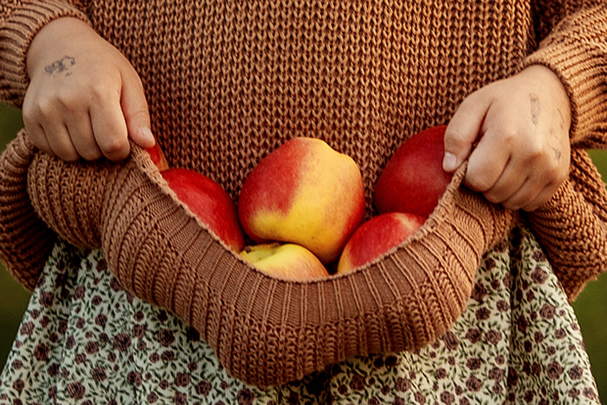 Семейная фотосессия с яблоками. Tatyana Nadezhdina Family photographer
