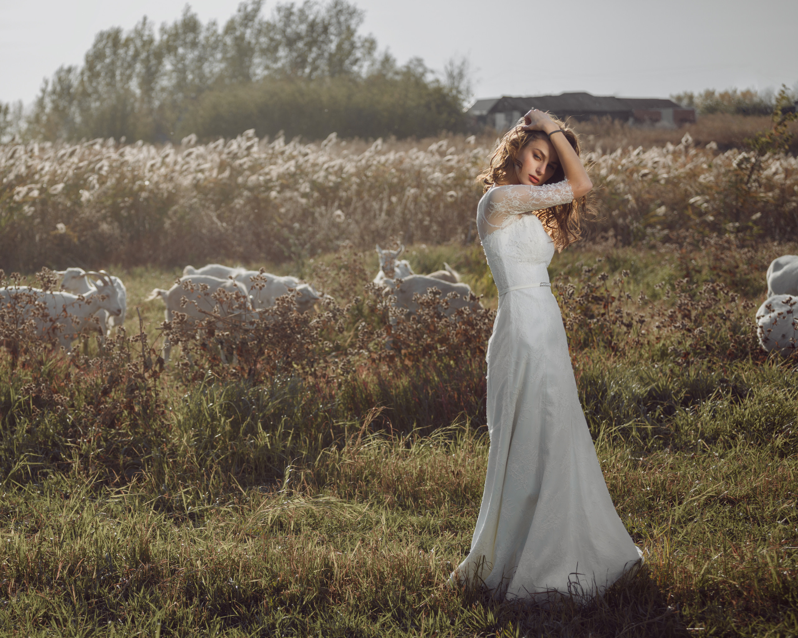 Где-то на просторах Черноземья. Elena Yavorskaya Photography