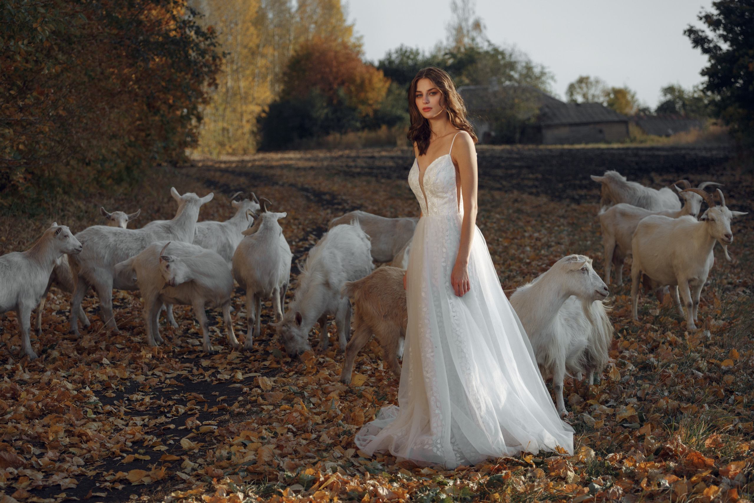 Где-то на просторах Черноземья. Elena Yavorskaya Photography