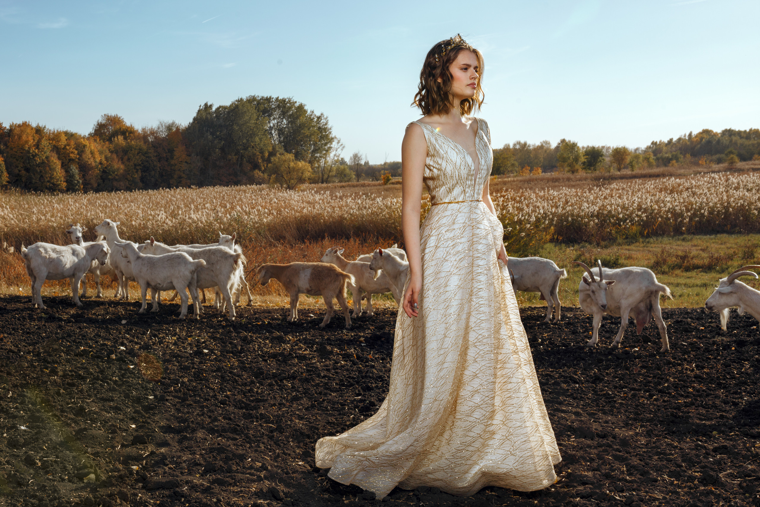 Где-то на просторах Черноземья. Elena Yavorskaya Photography