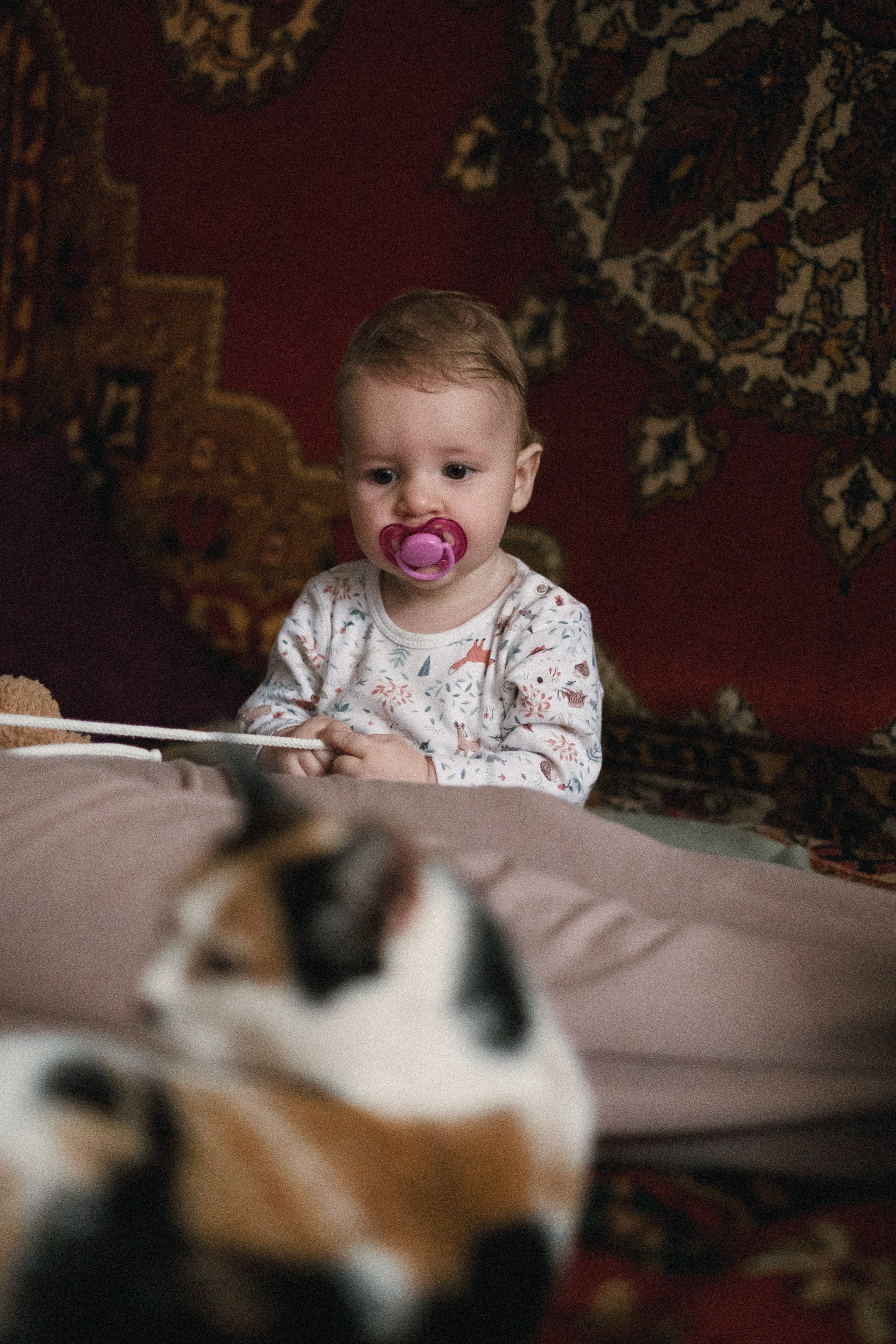 Семья, дети, беременность