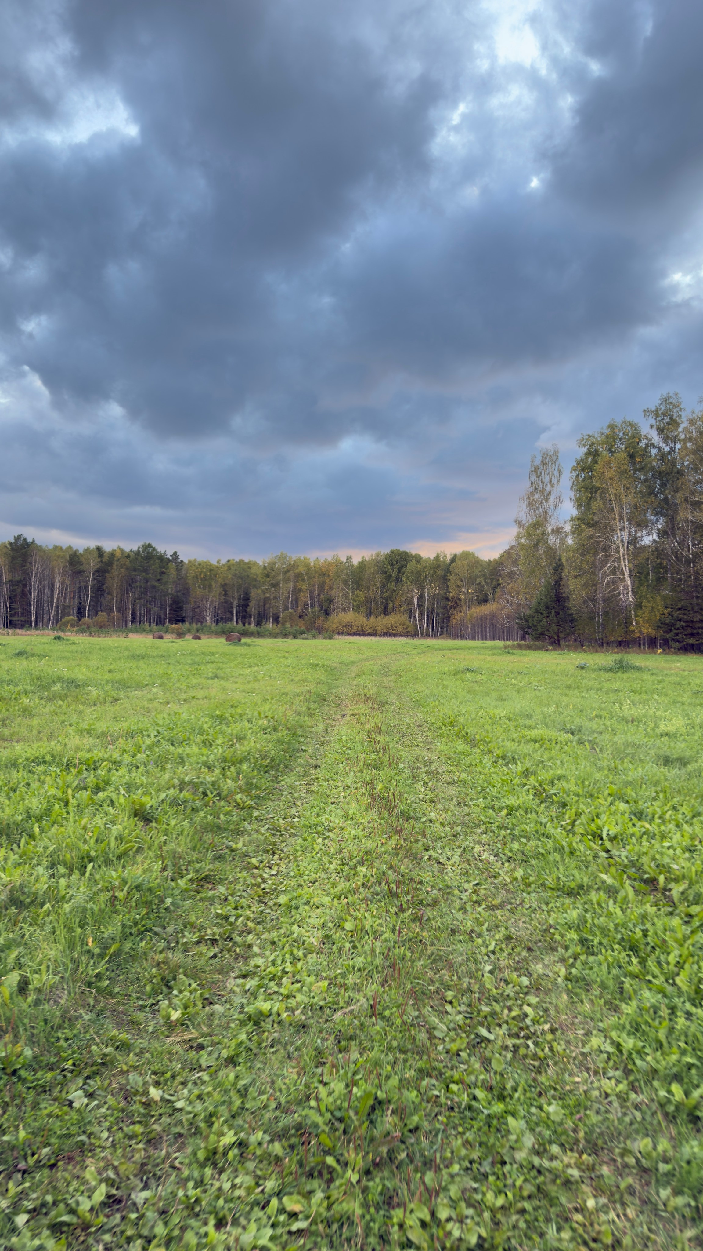 Гид от персонального стилиста: фотосессия в деревенском стиле. Екатерина Ананенко: персональный стилист из Красноярска