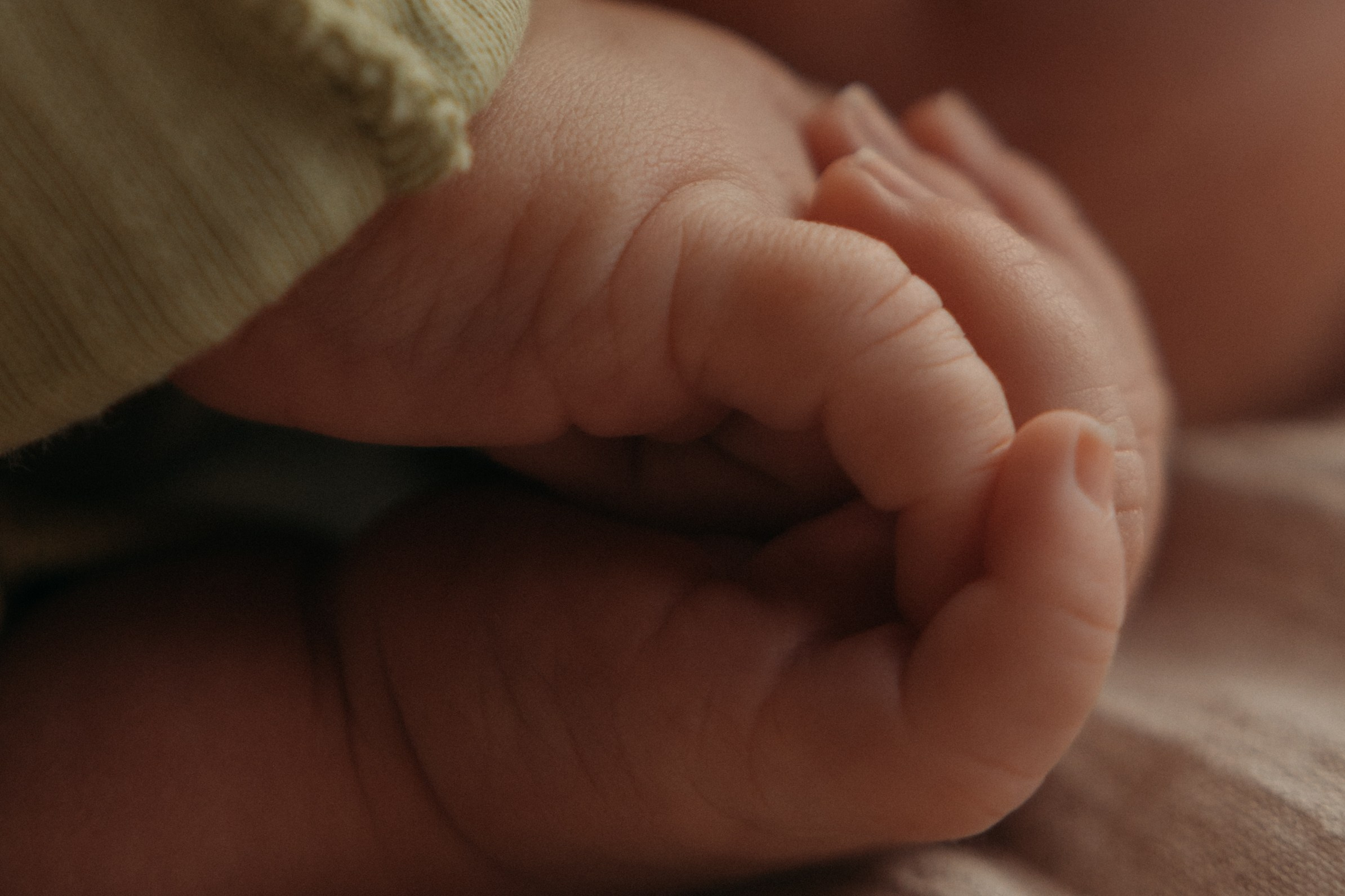 Семейный фотограф в Санкт-Петербурге Мария Соколова