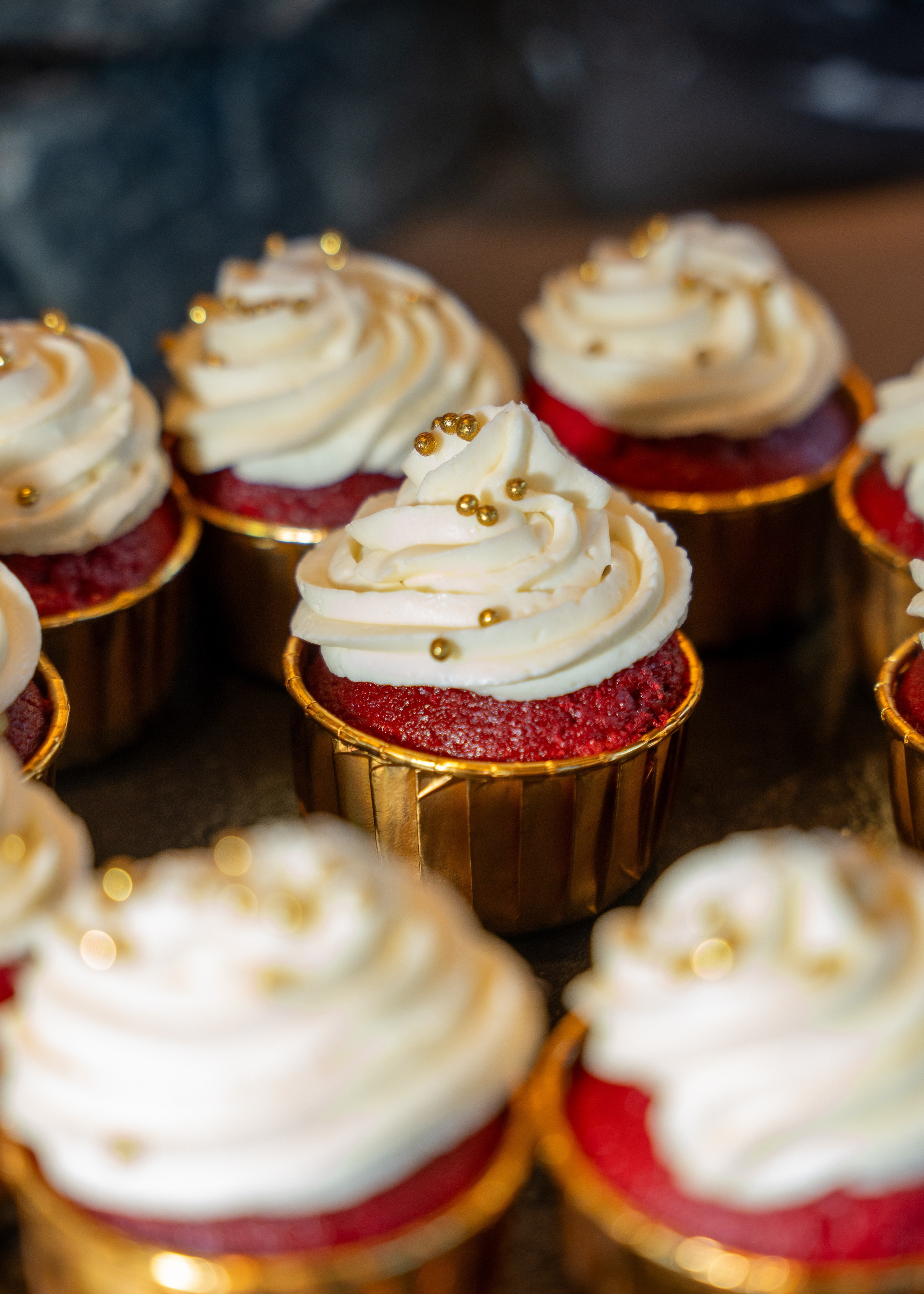 ХАРИБУ 1 ГОД. СВОИ. ФОТООТЧЕТЫ-СОБЫТИЯ-МЕСТА