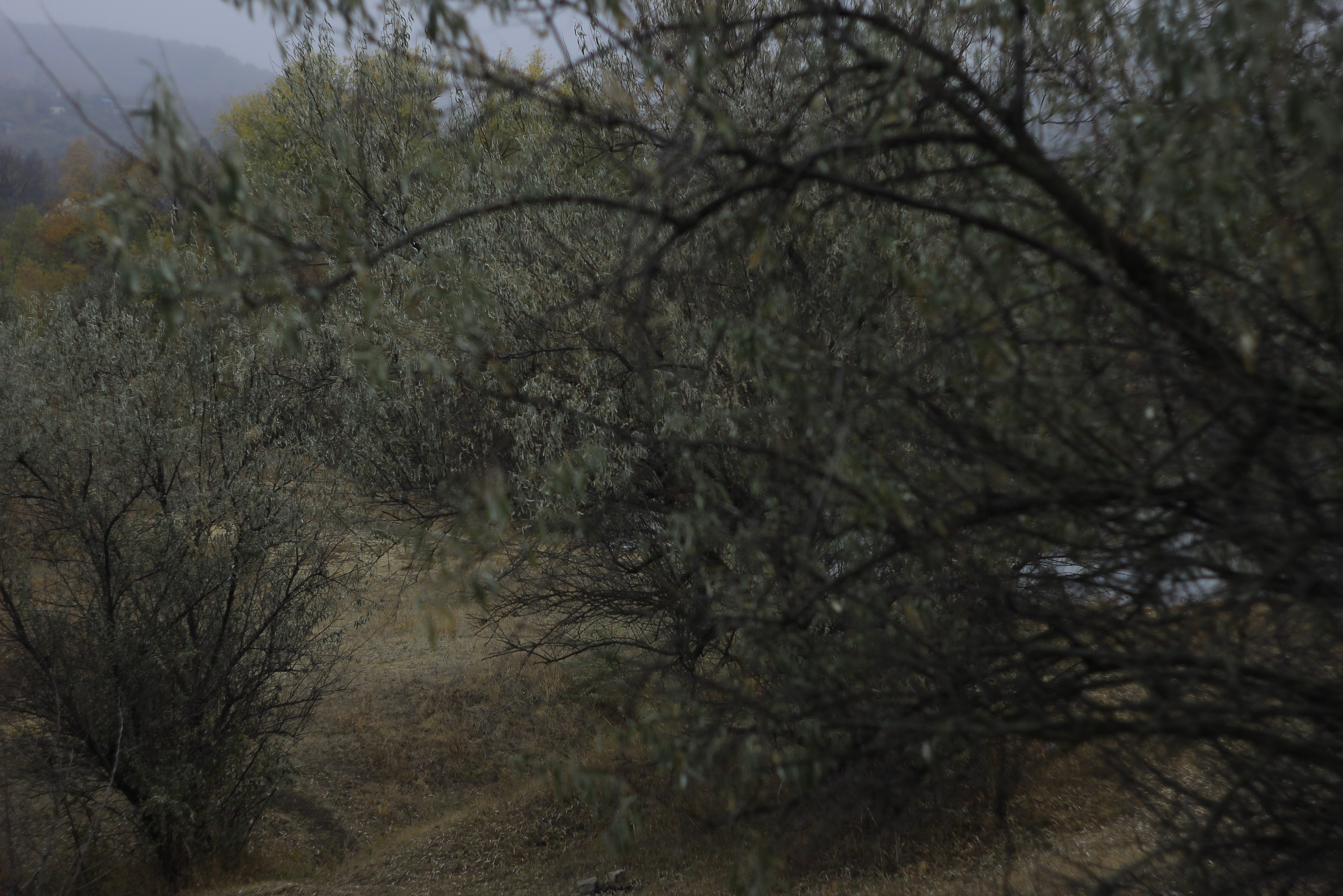 Разбойщина, Саратов, студенческая архитектурная мастерская Евгения Спирина и САСК. Фотокрыжовник. Снимаем, дружим, путешествуем