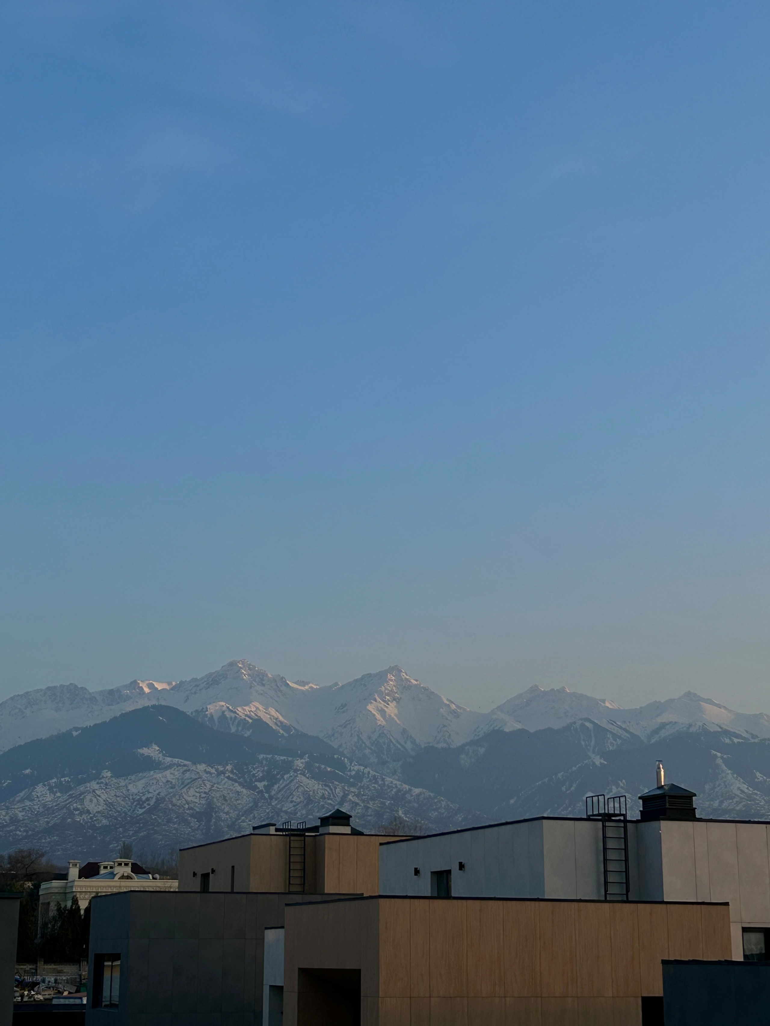 Dentalworkshop Almaty