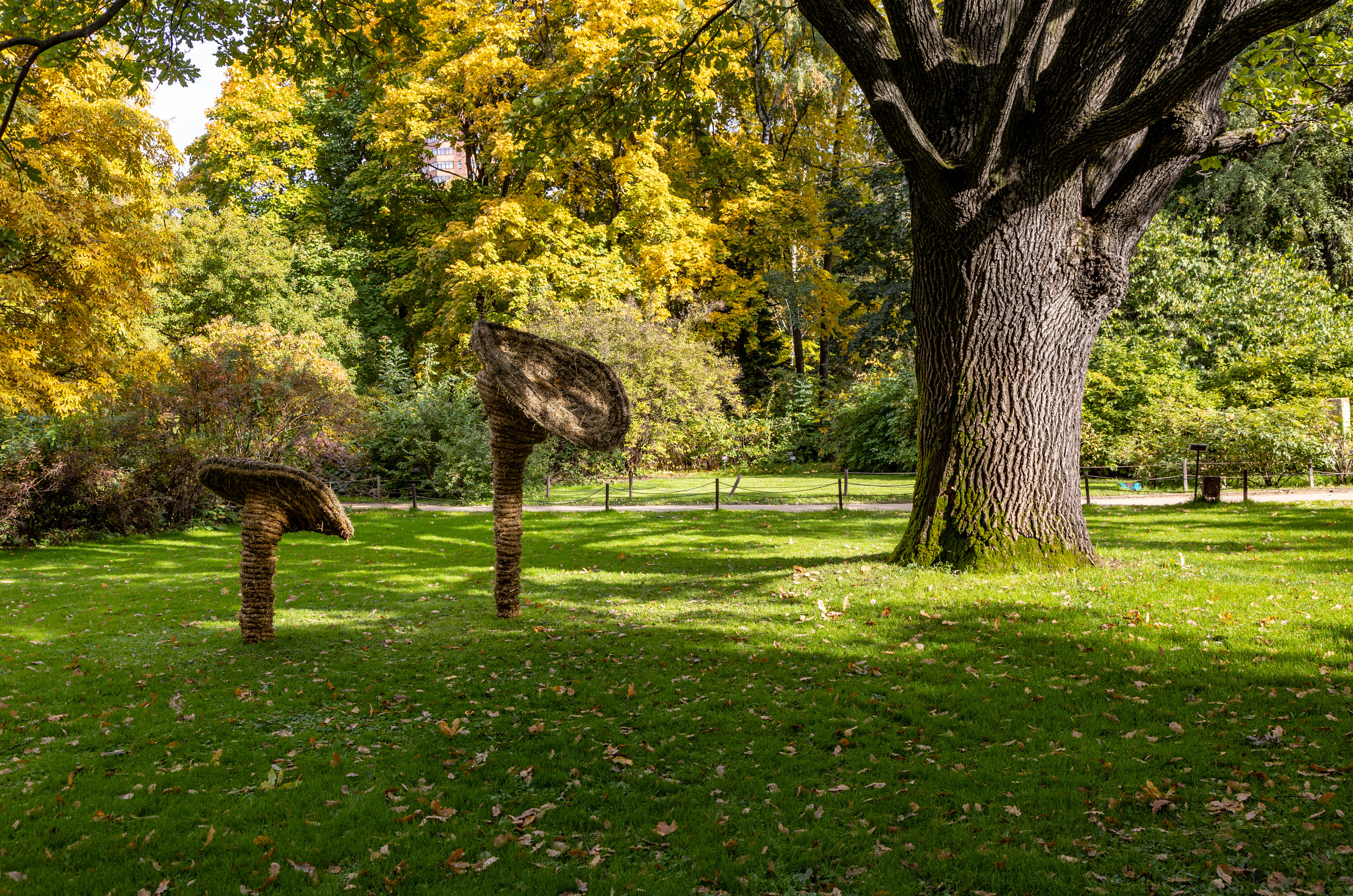 Публикация в журнале «Цветы». Maria Poleshchuk, commercial photographer in Sydney