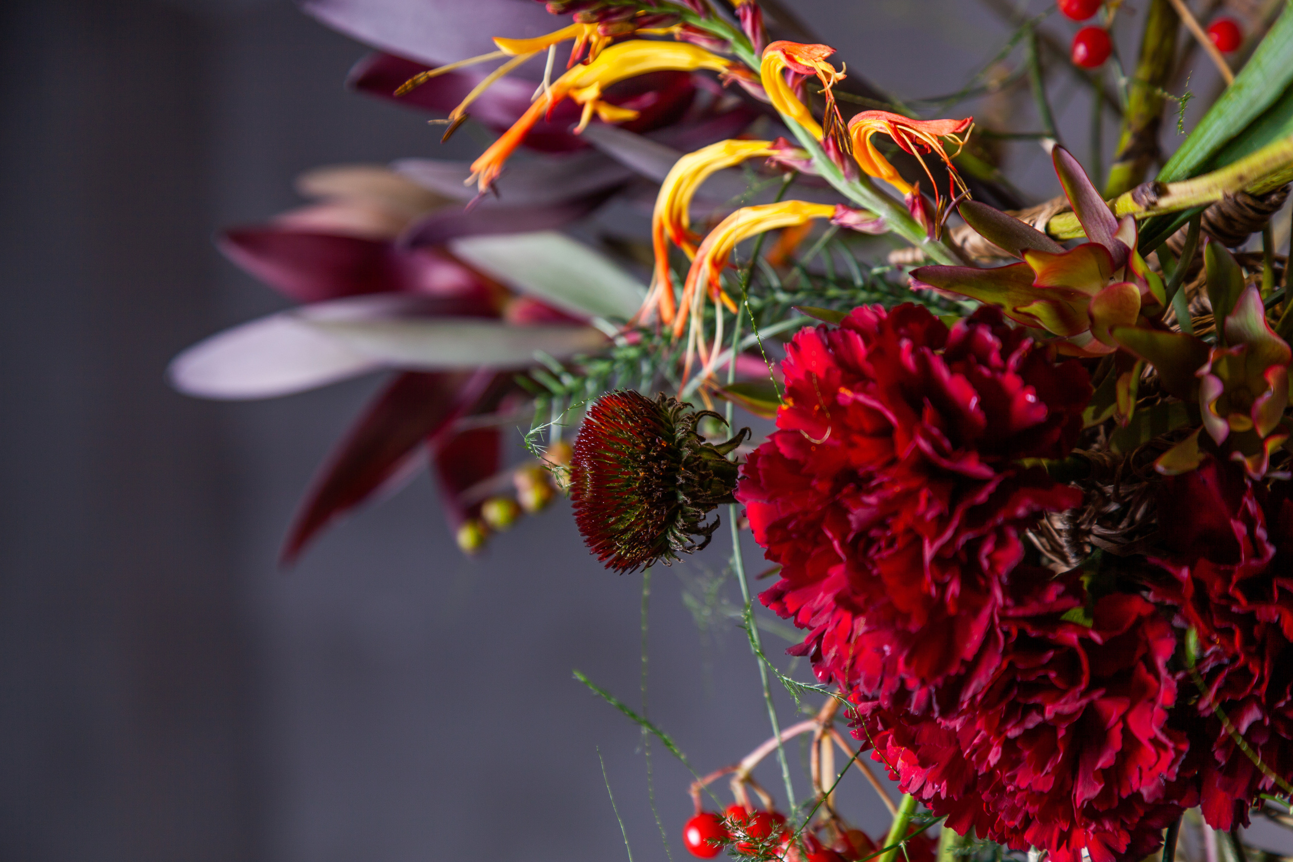 Работы Анастасии Андреенко. Maria Poleshchuk, commercial photographer in Sydney