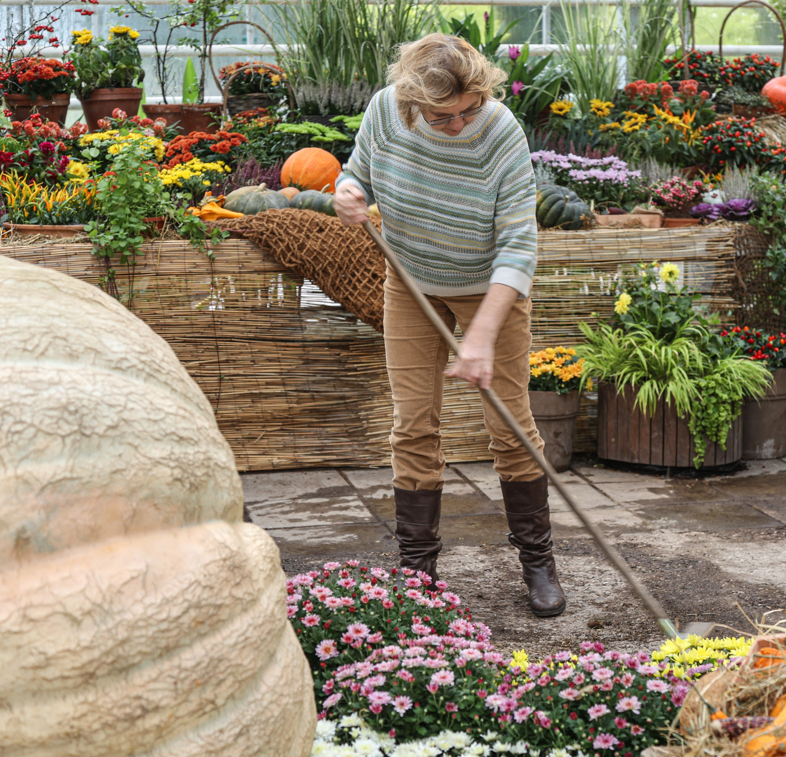 Гигантские тыквы в Ботаническом саду МГУ "Аптекарский огород". Maria Poleshchuk, commercial photographer in Sydney