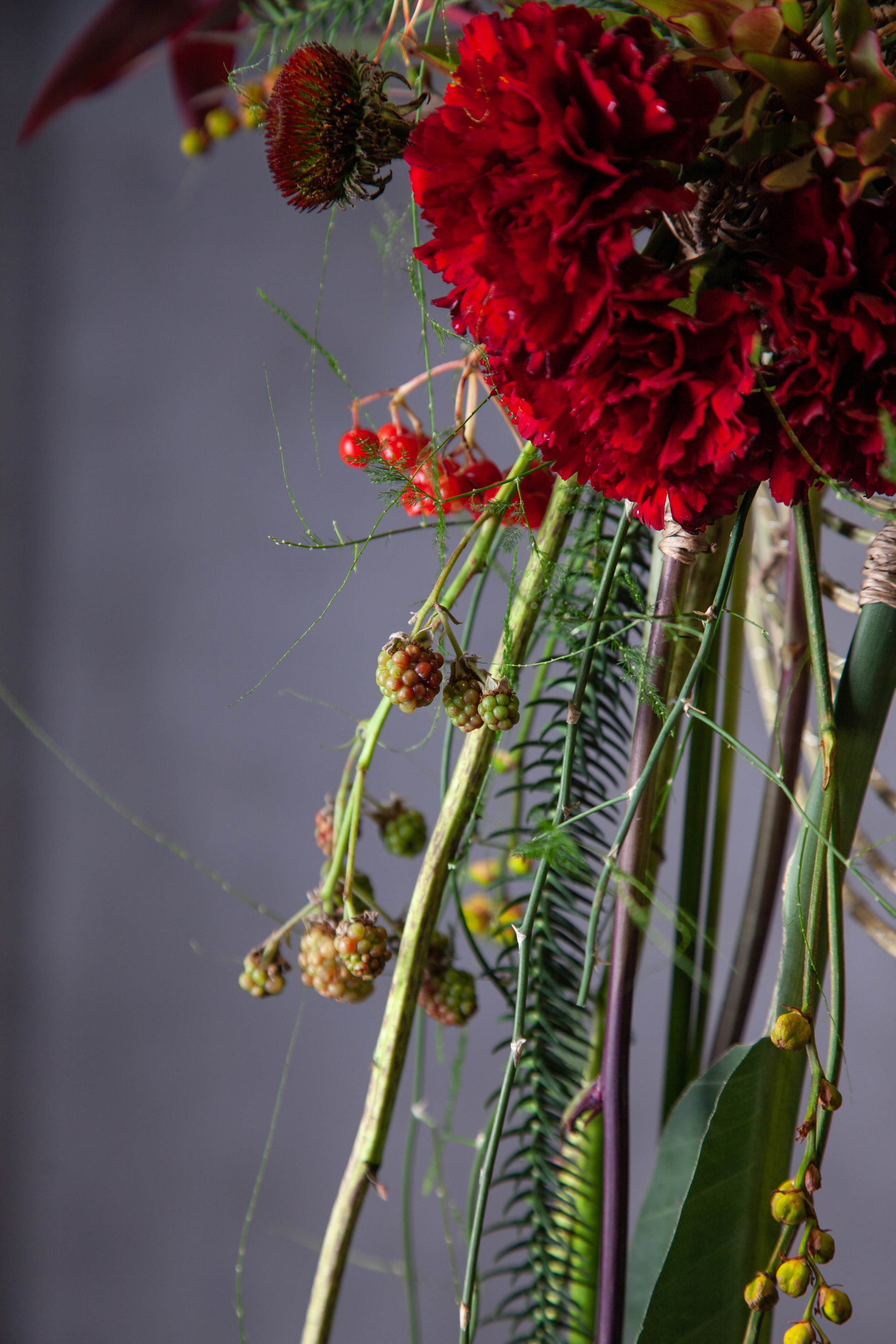 Работы Анастасии Андреенко. Maria Poleshchuk, commercial photographer in Sydney